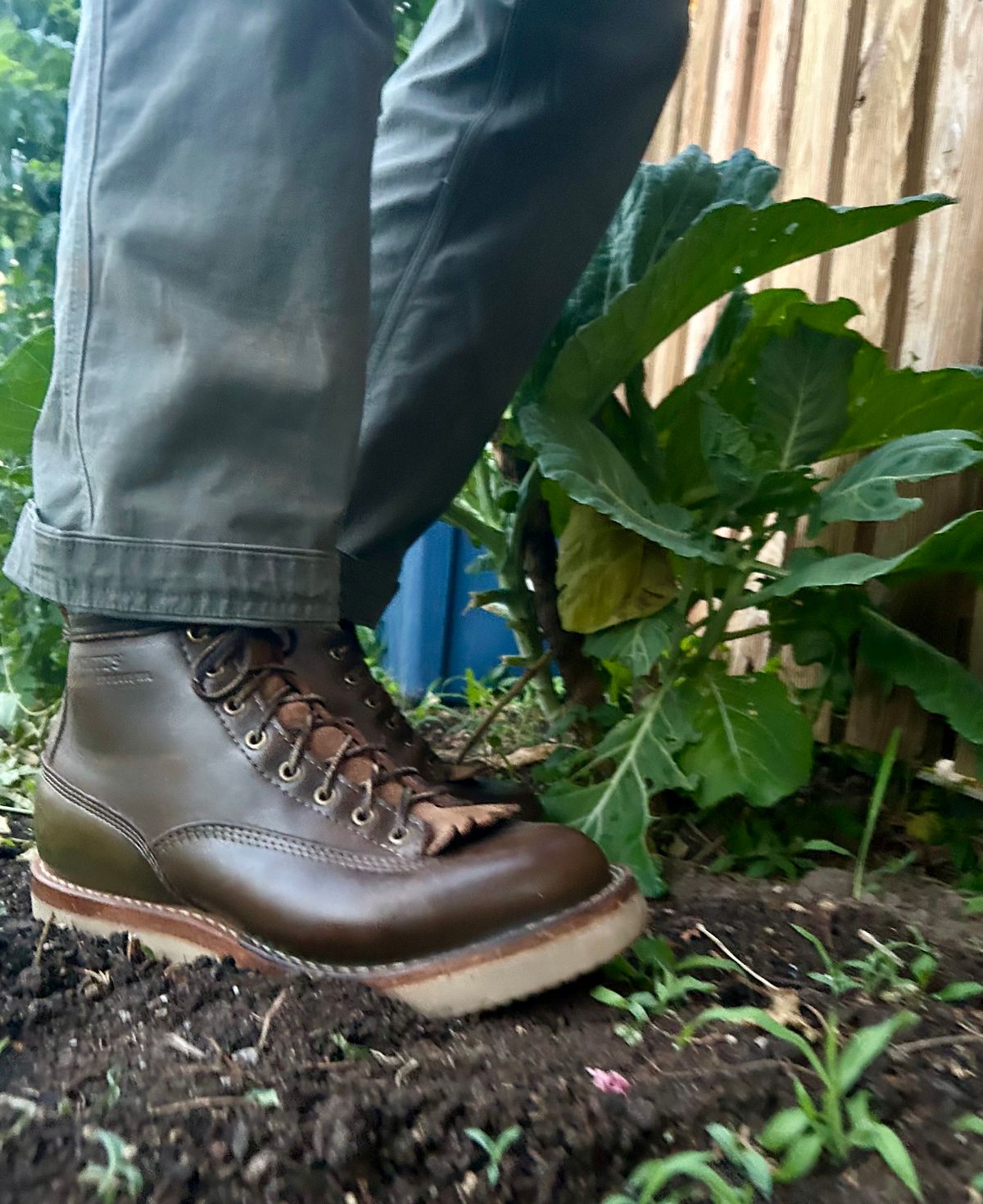 Photo by Vic on June 13, 2026 of the White's C350ltt-cs in Horween Greener Pastures Dublin.