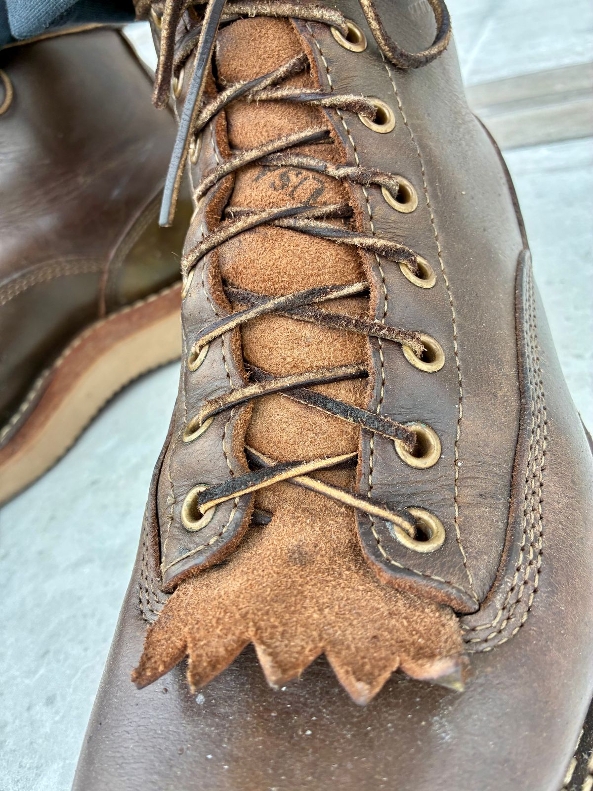 Photo by Vic on July 7, 2026 of the White's C350ltt-cs in Horween Greener Pastures Dublin.