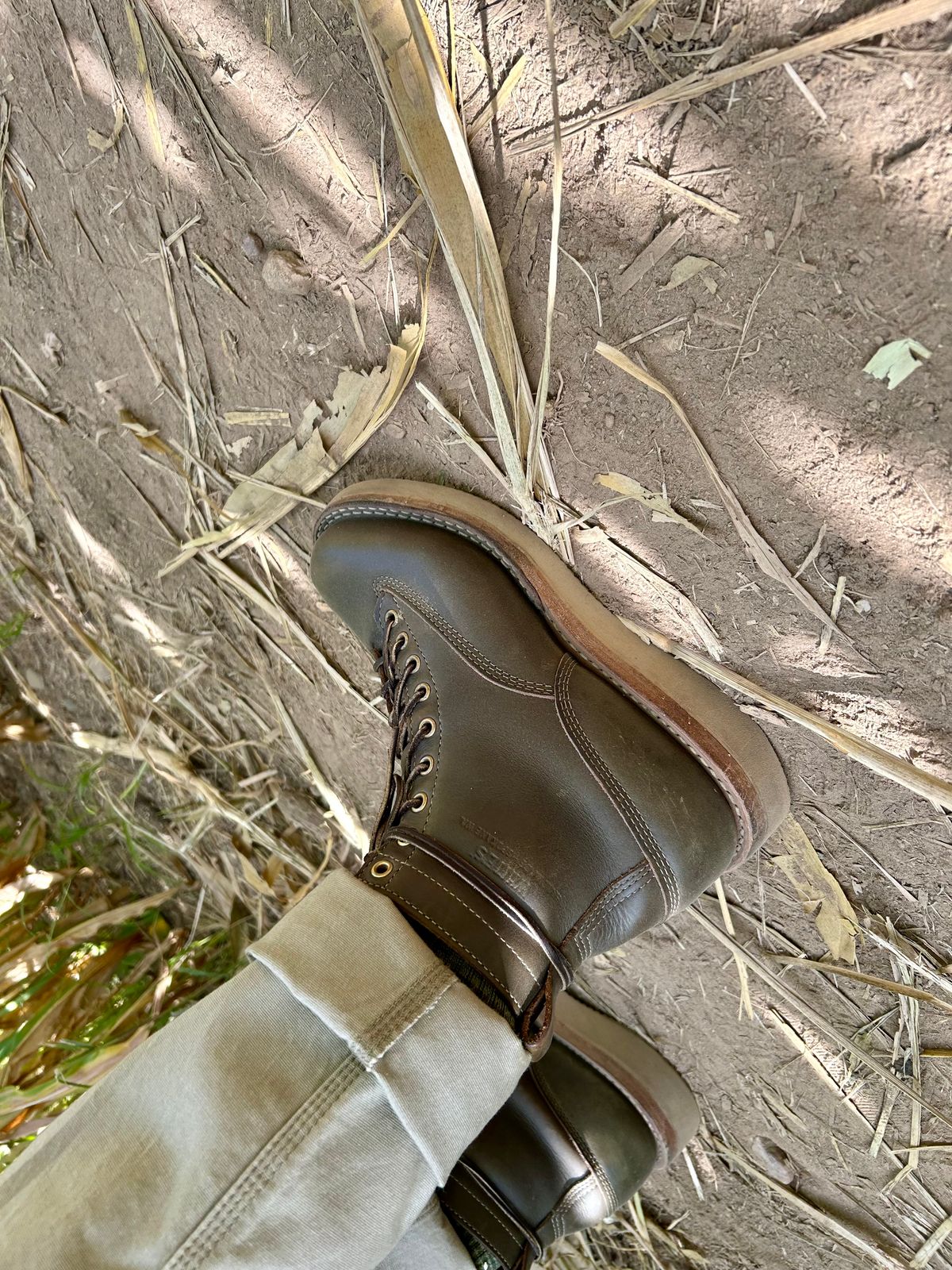 Photo by Vic on September 21, 2025 of the Whites Green Pasture Lace To Toe C350ltt-cs in Horween Greener Pastures Dublin.