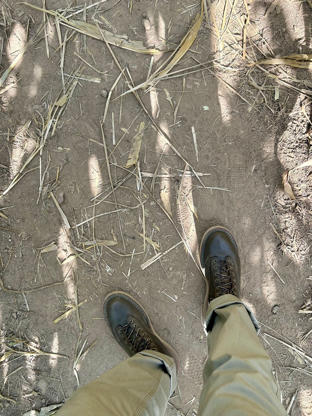 Photo by Vic on September 21, 2025 of the Whites Green Pasture Lace To Toe C350ltt-cs in Horween Greener Pastures Dublin.