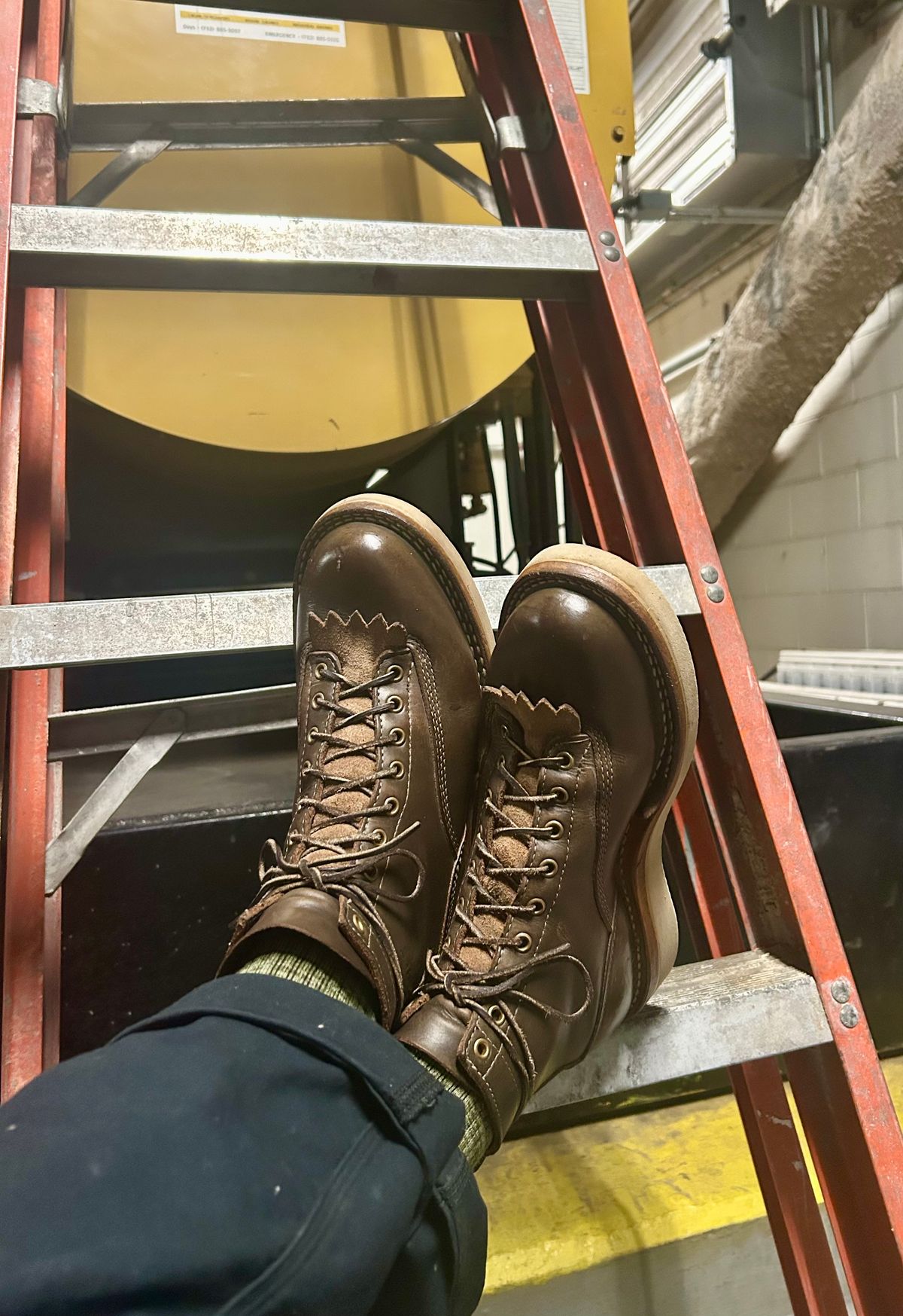 Photo by Vic on February 25, 2026 of the Whites Green Pasture Lace To Toe C350ltt-cs in Horween Greener Pastures Dublin.