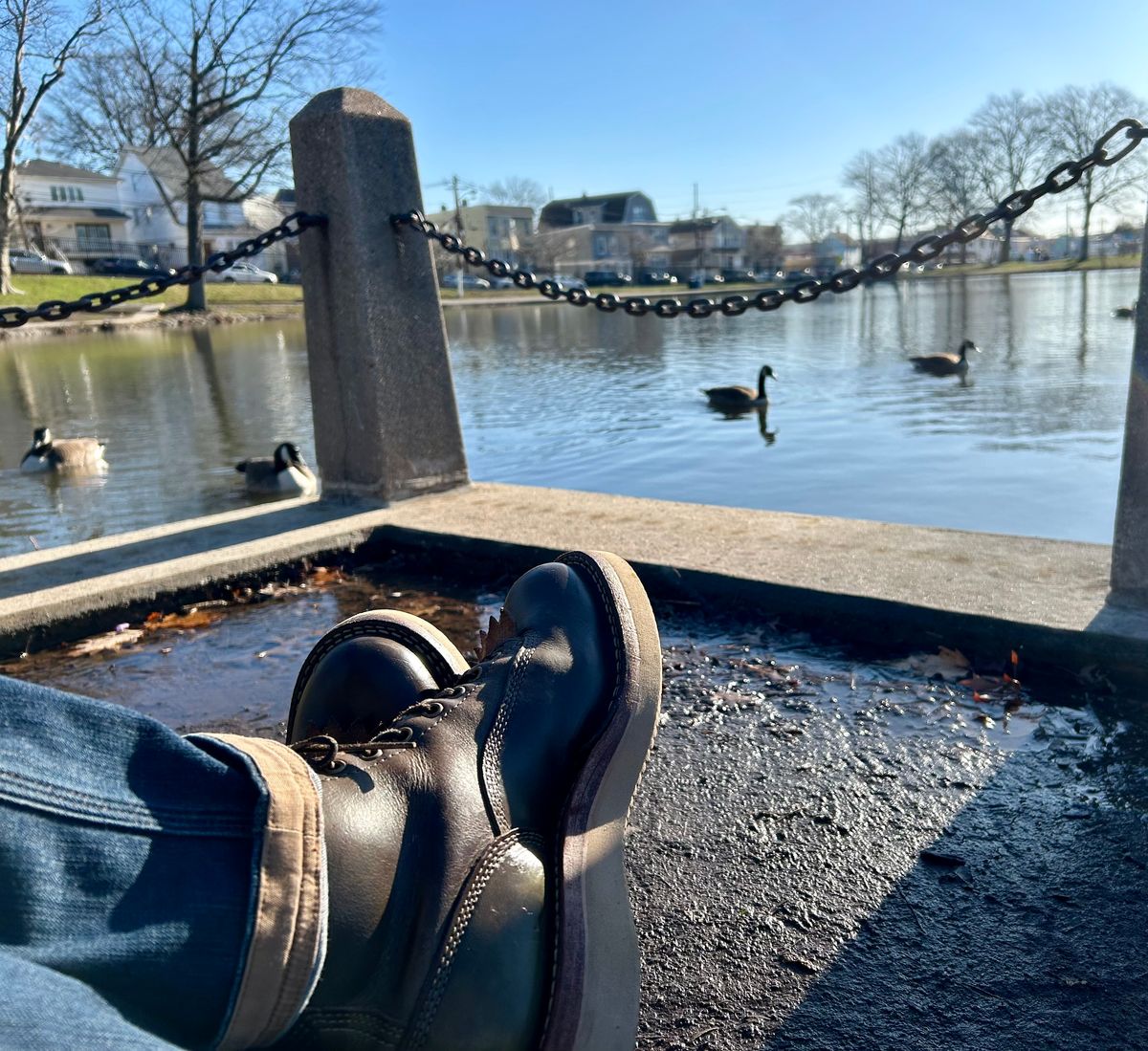 Photo by Vic on March 24, 2026 of the Whites Green Pasture Lace To Toe C350ltt-cs in Horween Greener Pastures Dublin.