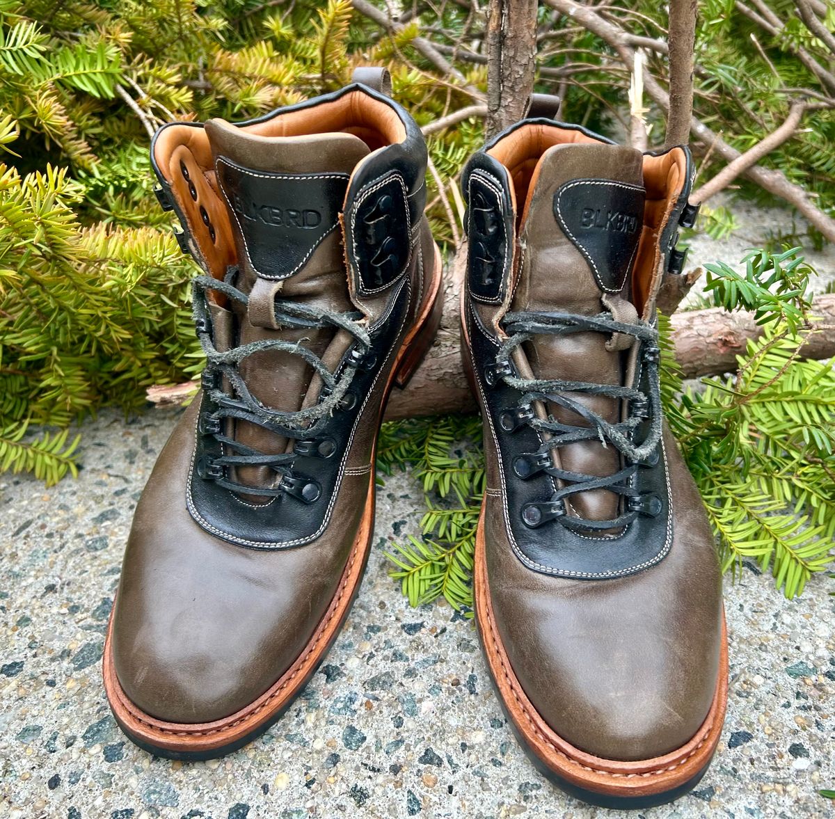 Photo by Vic on March 15, 2026 of the Blkbrd Shoemaker Bulwark Trek Boot in Horween Green Horse Rump.