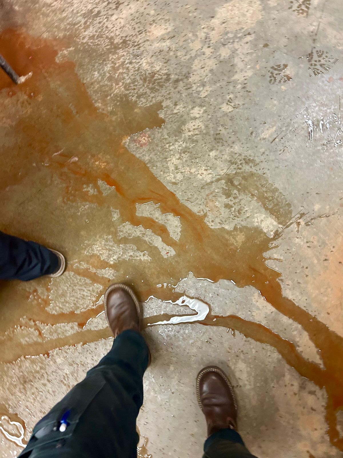 Photo by Vic on May 21, 2026 of the White's Nomad Engineer Boots in Horween Cinnamon Waxed Flesh.