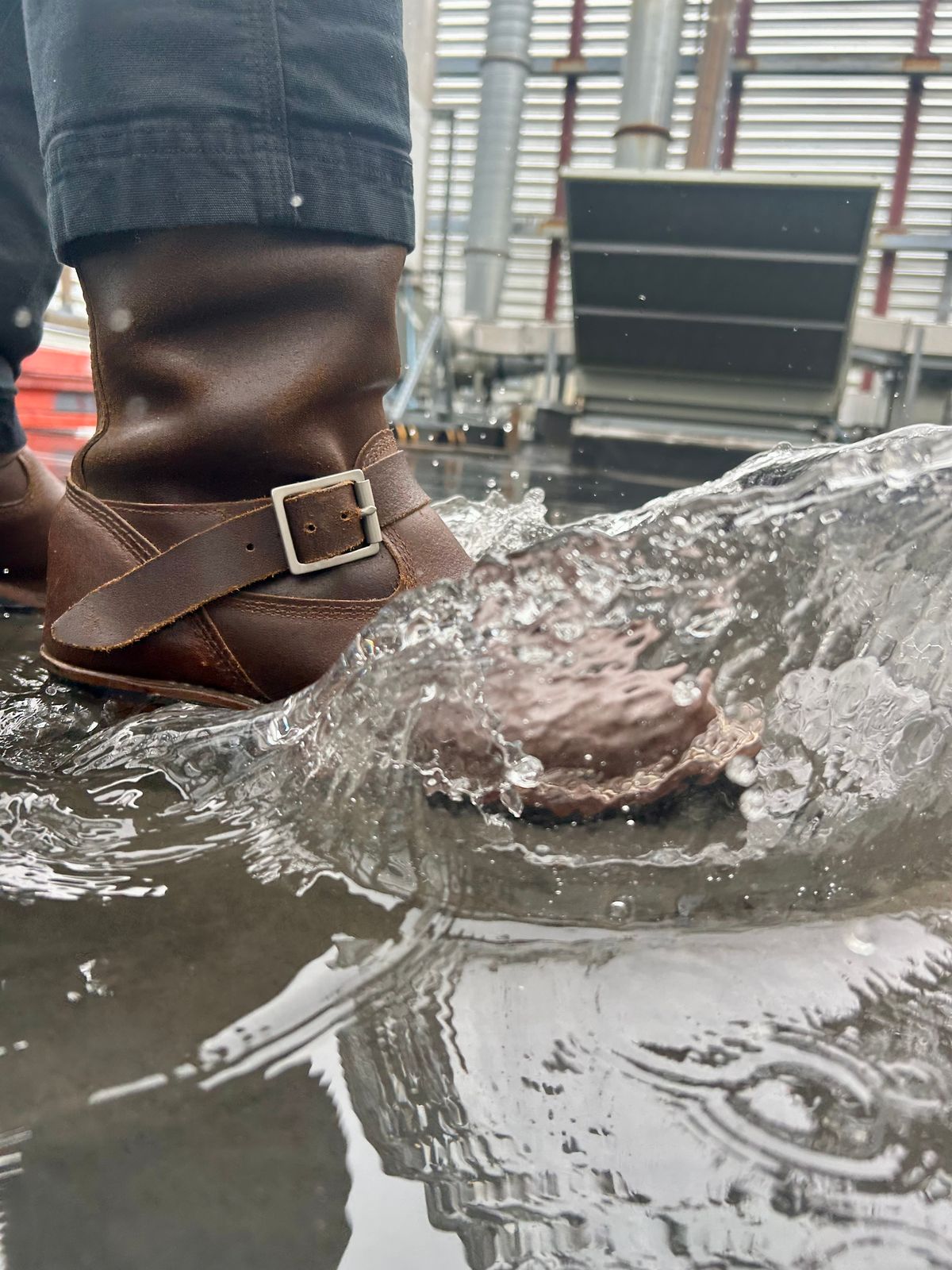 Photo by Vic on May 21, 2026 of the White's Nomad Engineer Boots in Horween Cinnamon Waxed Flesh.