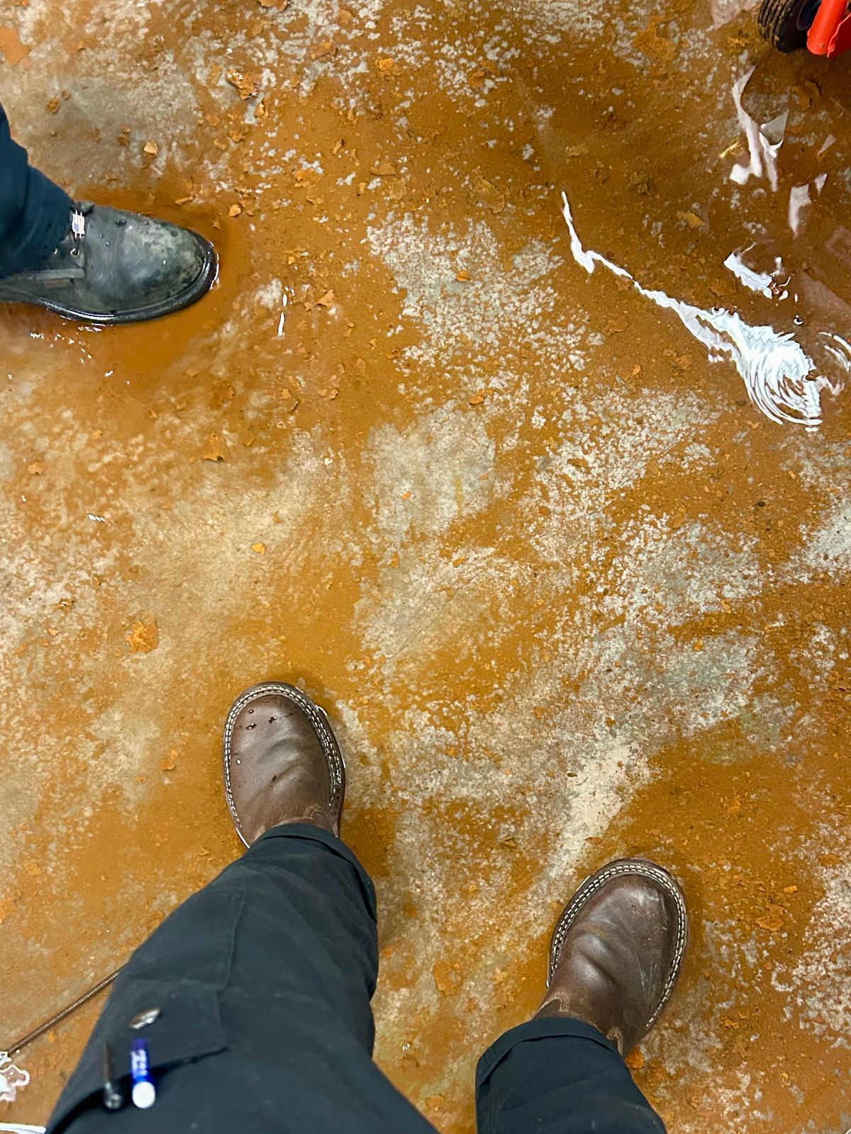 Photo by Vic on June 11, 2026 of the White's Nomad Engineer Boots in Horween Cinnamon Waxed Flesh.