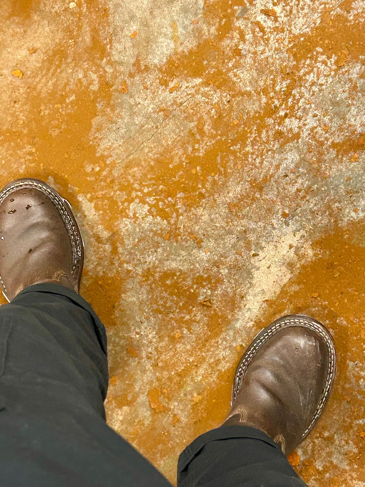 Photo by Vic on June 11, 2026 of the White's Nomad Engineer Boots in Horween Cinnamon Waxed Flesh.