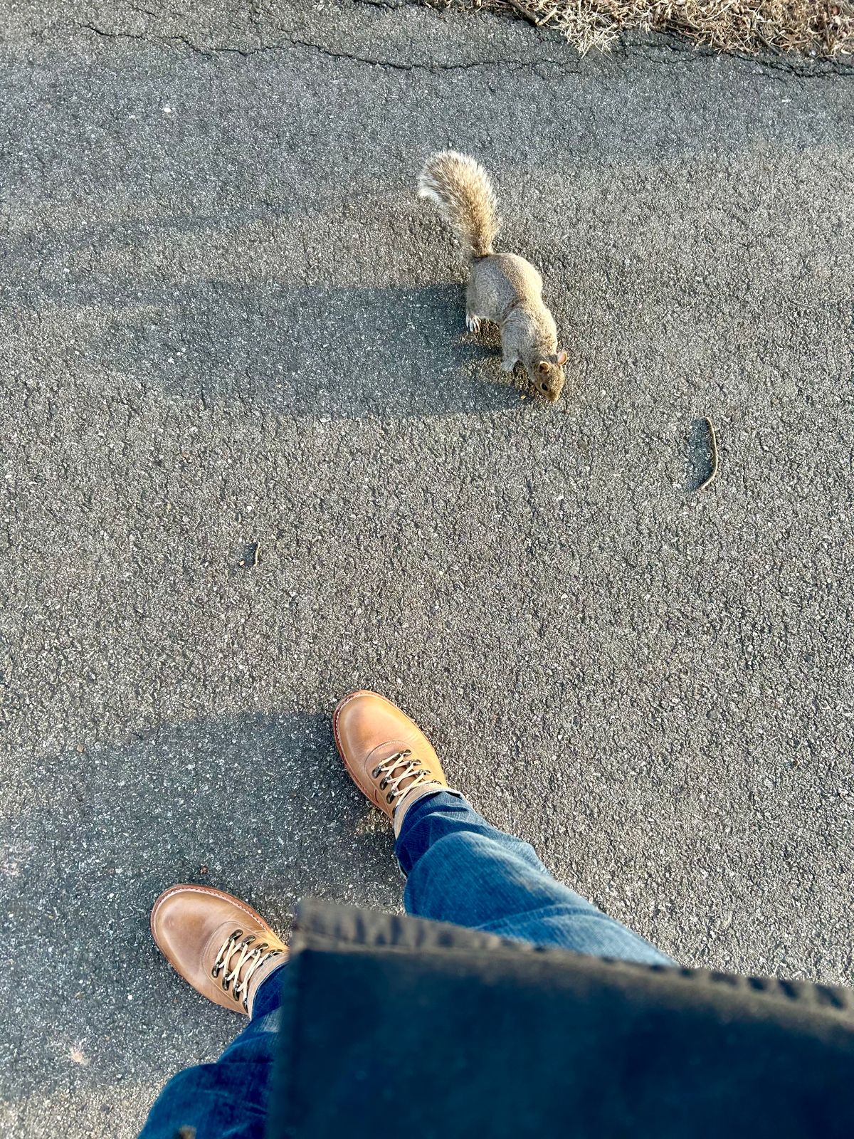 Photo by Vic on March 18, 2026 of the Blkbrd Shoemaker Bulwark Trek Boot in Horween Natural Chromepak.