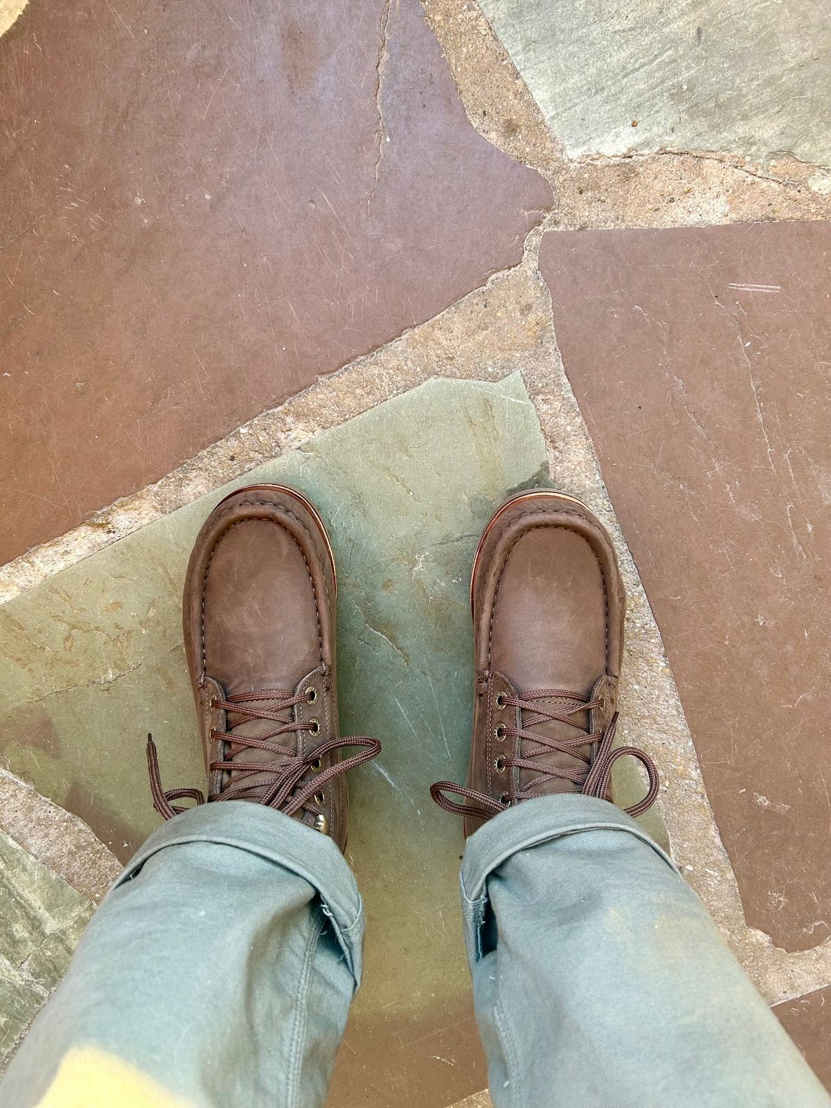 Photo by Vic on December 11, 2025 of the Jim Green Meander in Houston Brown.