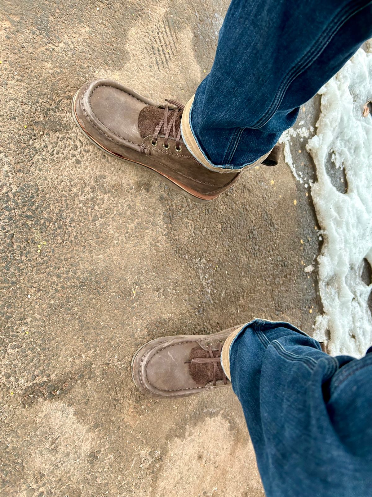 Photo by Vic on February 11, 2026 of the Jim Green Meander in Houston Brown.