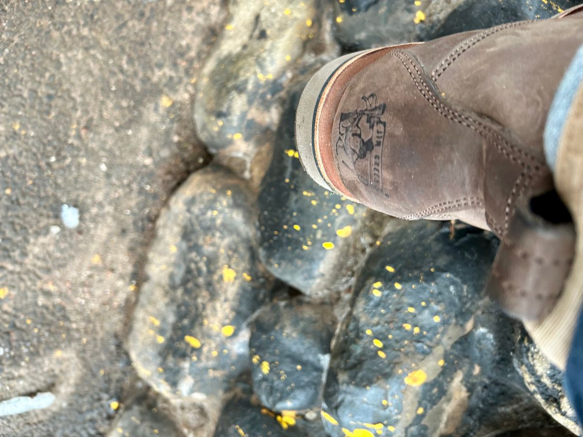 Photo by Vic on February 11, 2026 of the Jim Green Meander in Houston Brown.