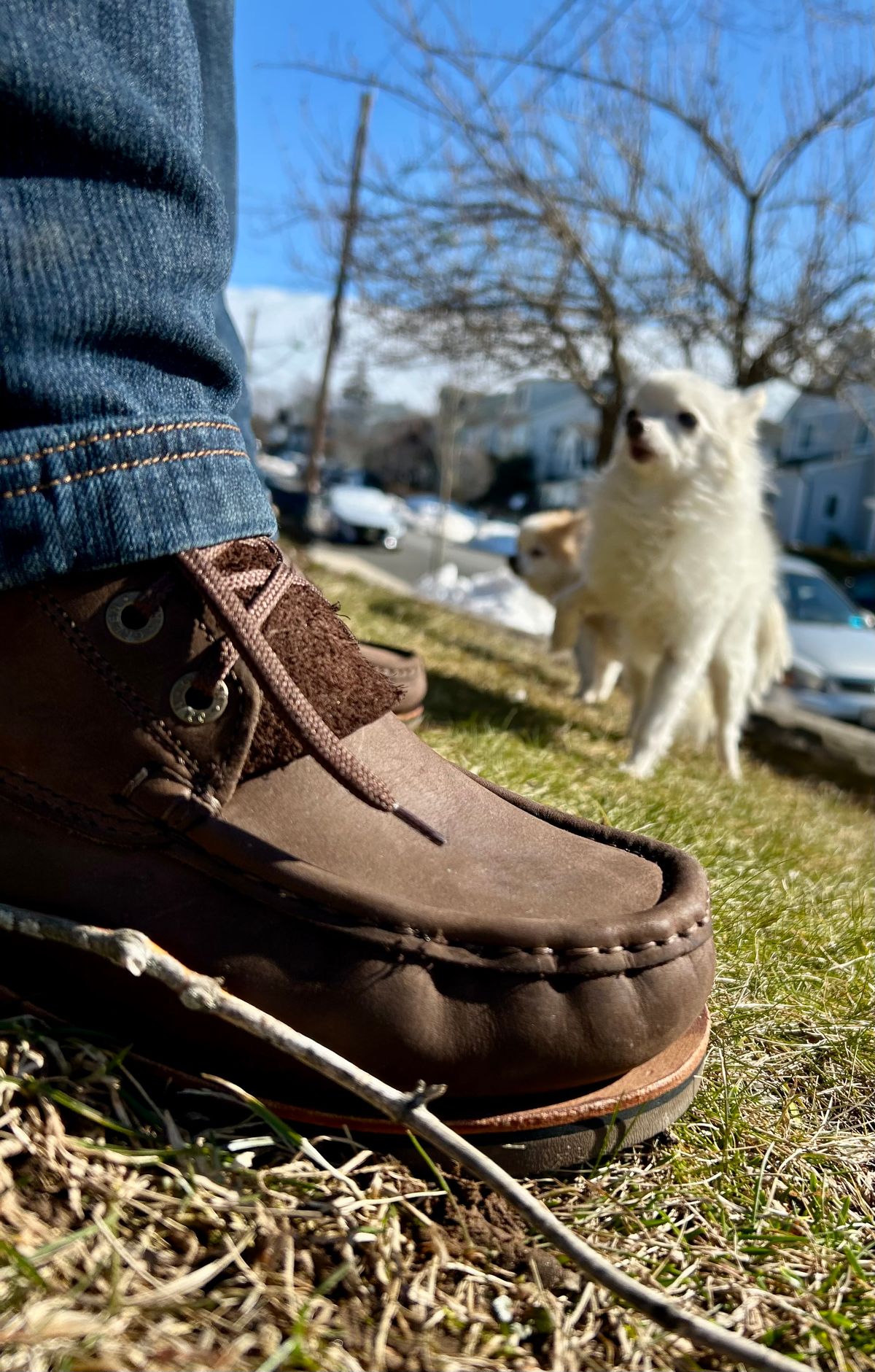 Photo by Vic on March 1, 2026 of the Jim Green Meander in Houston Brown.
