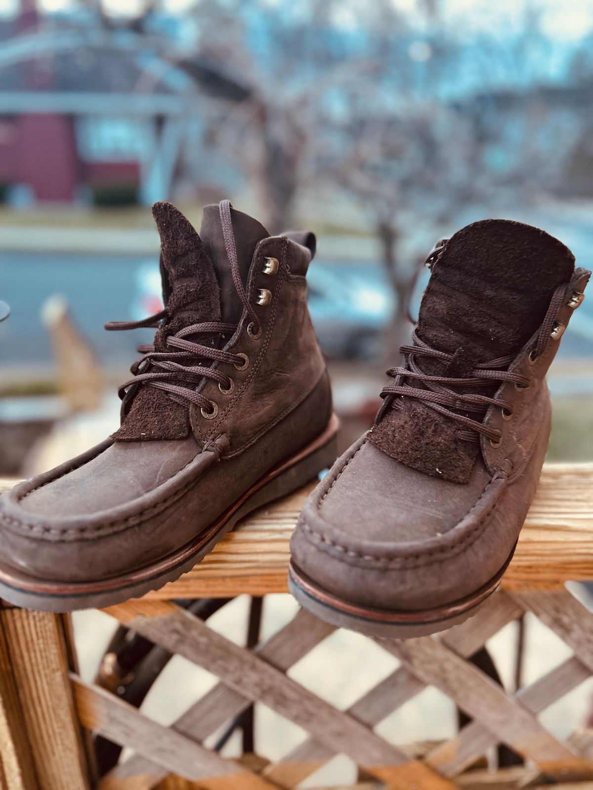 Photo by Vic on March 22, 2026 of the Jim Green Meander in Houston Brown.