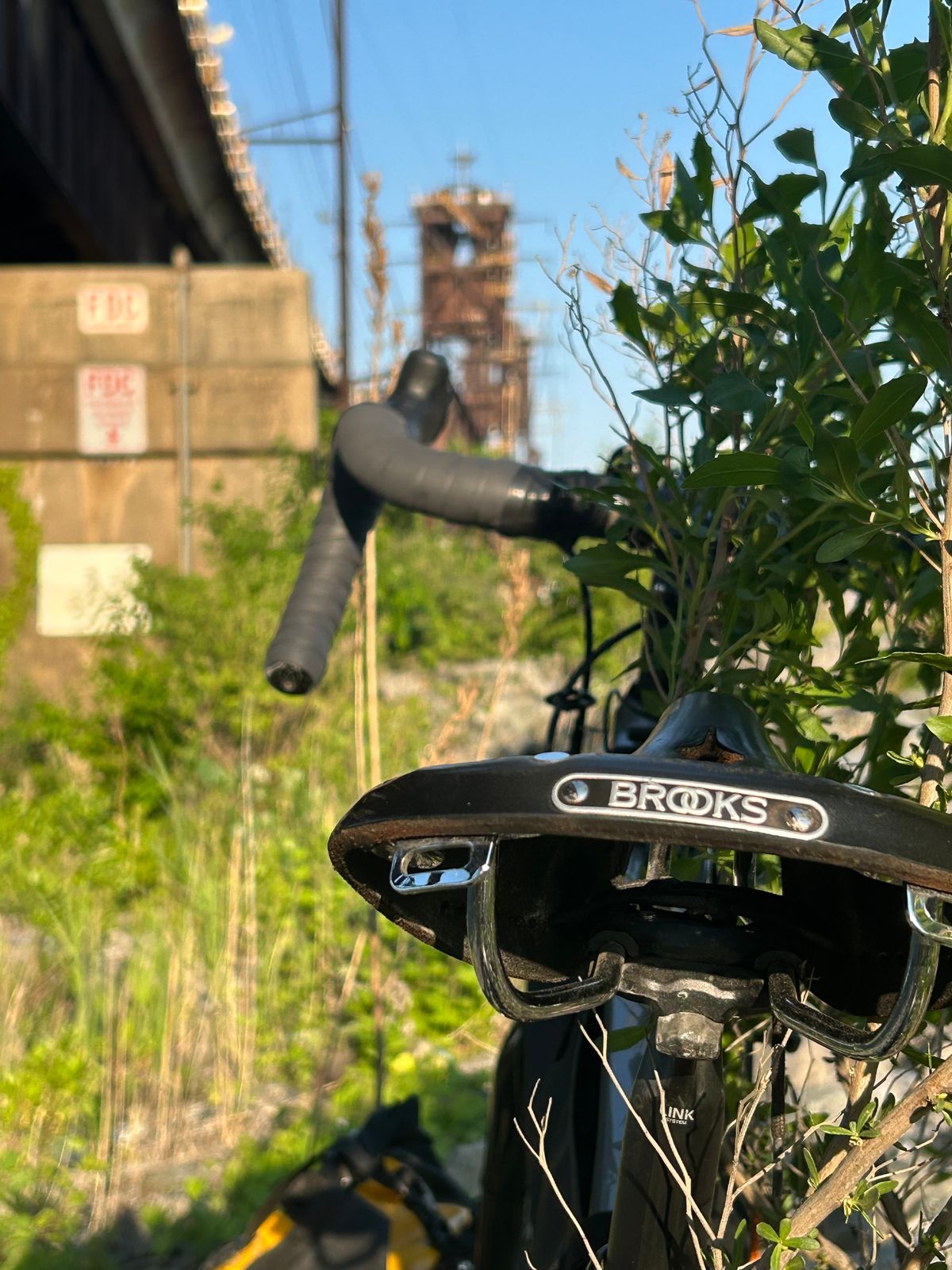 Photo by Vic on May 18, 2026 of the Brooks Saddle in Unknown Natural Veg Tan.