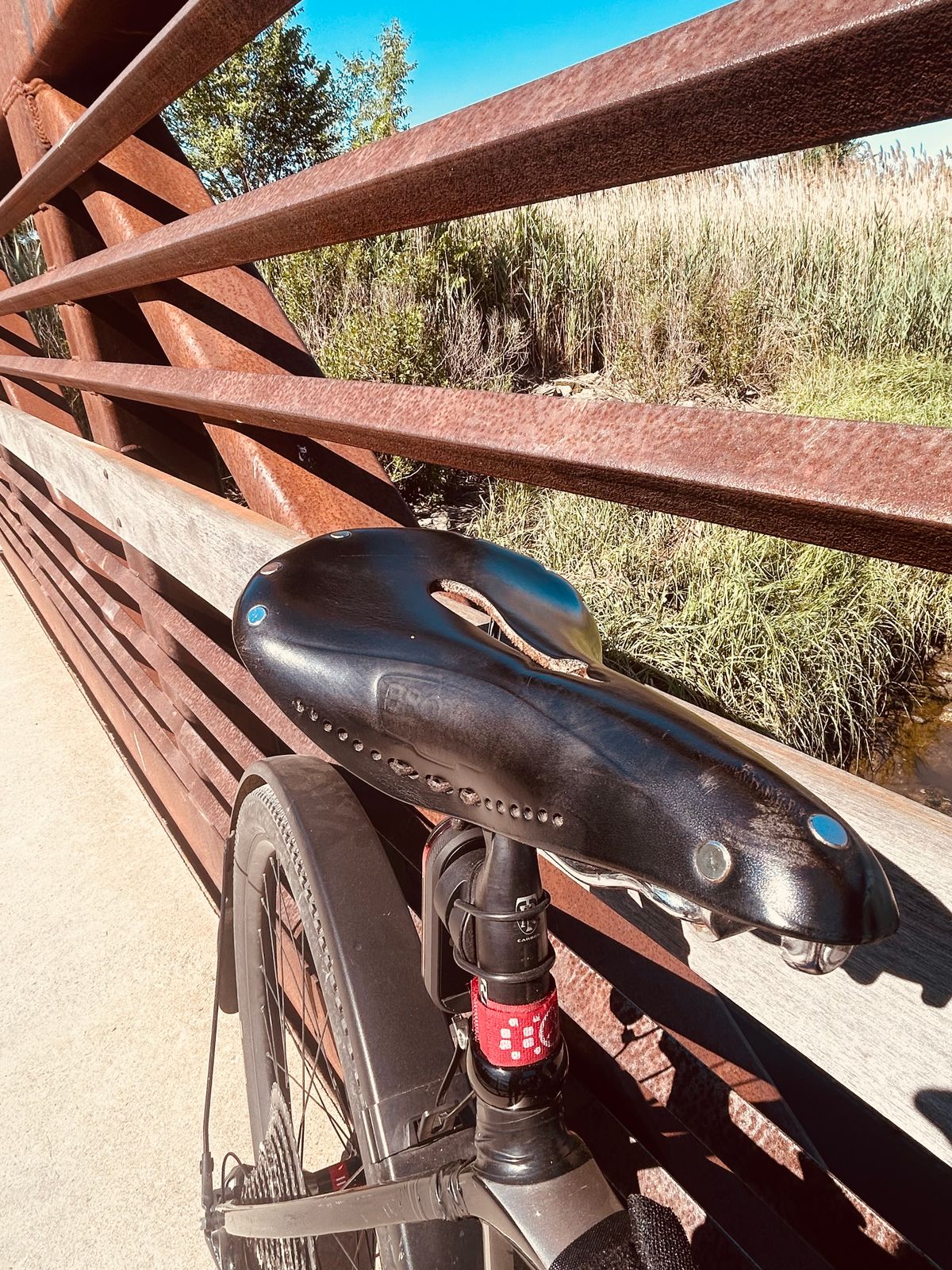 Photo by Vic on June 9, 2026 of the Brooks Saddle in Unknown Natural Veg Tan.