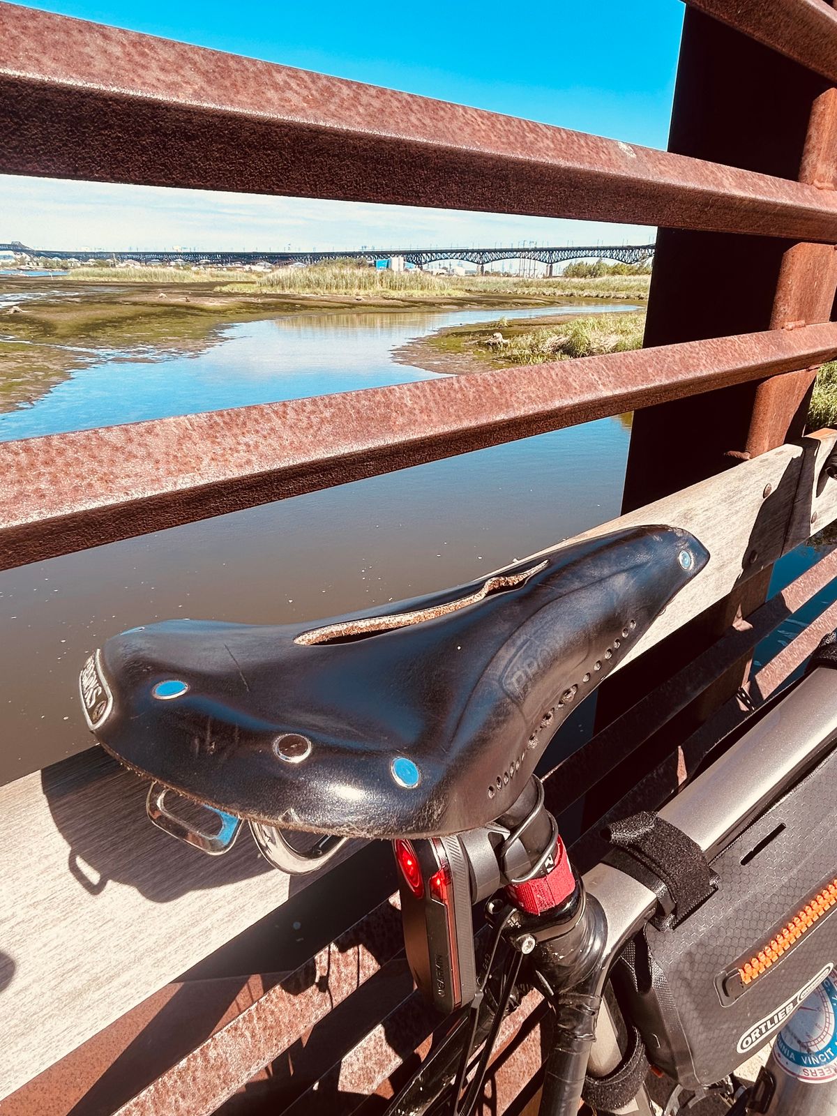 Photo by Vic on June 9, 2026 of the Brooks Saddle in Unknown Natural Veg Tan.