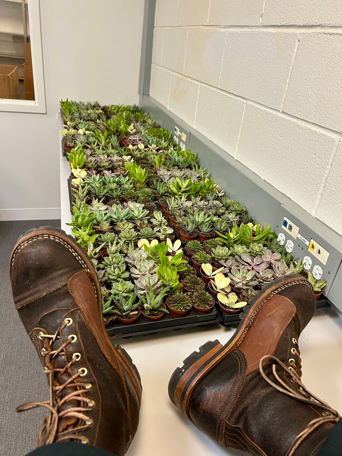 Photo by Vic on April 20, 2026 of the Nicks X Rose Anvil ND1 in Horween Black Waxed Flesh.