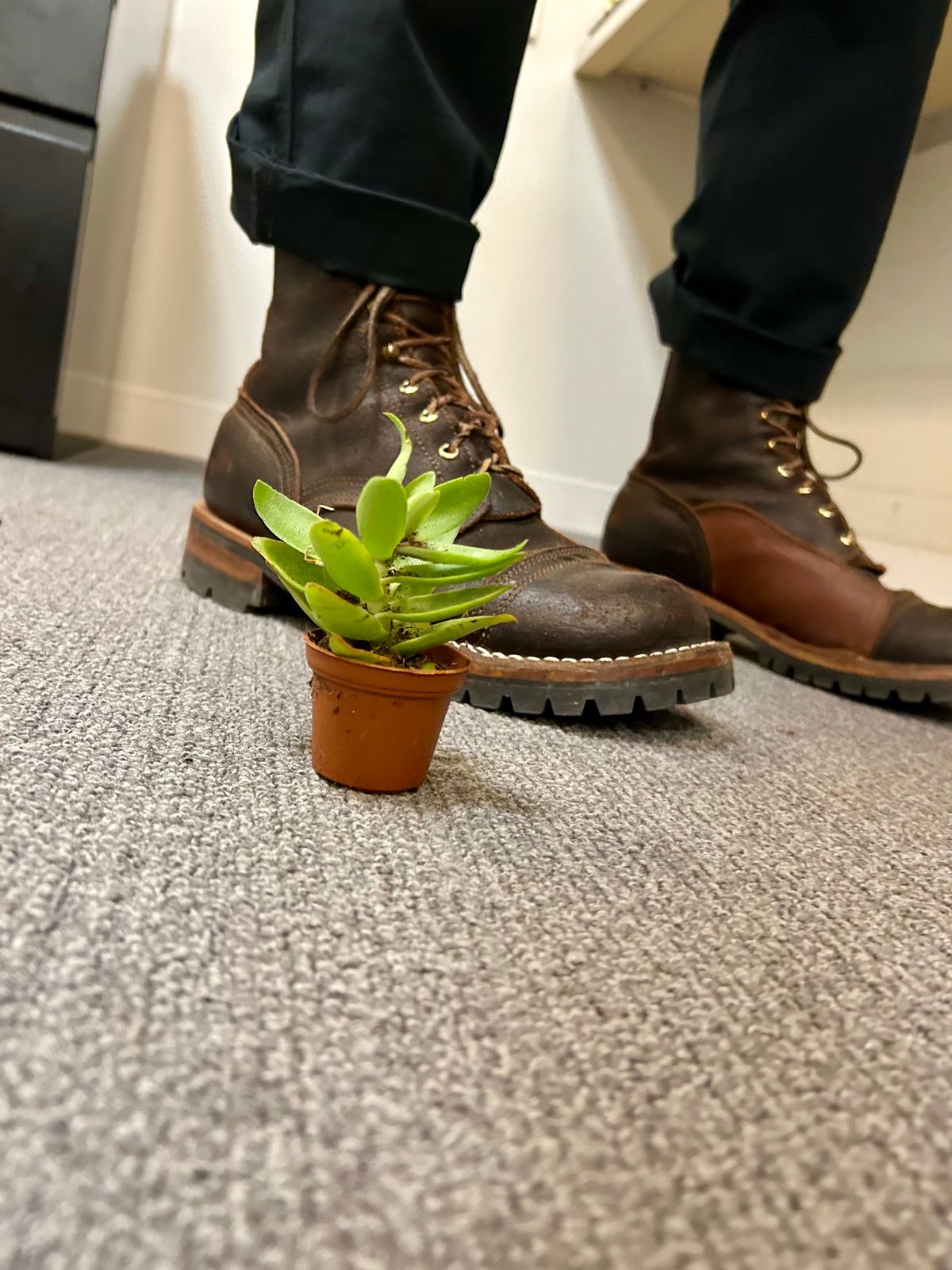 Photo by Vic on April 20, 2026 of the Nicks X Rose Anvil ND1 in Horween Black Waxed Flesh.