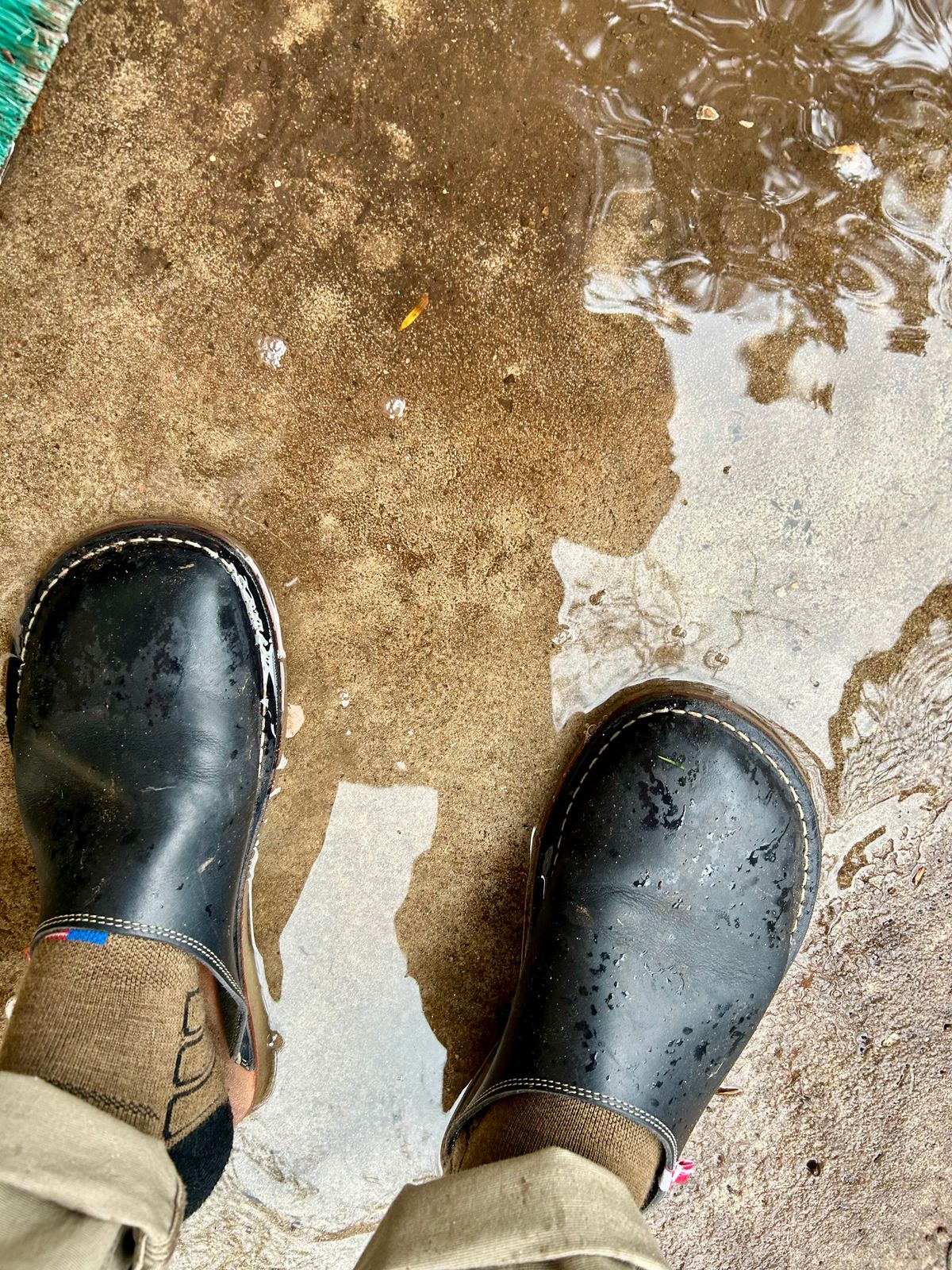 Photo by Vic on April 5, 2026 of the Duckfeet Blåvand in Terracare Navy.