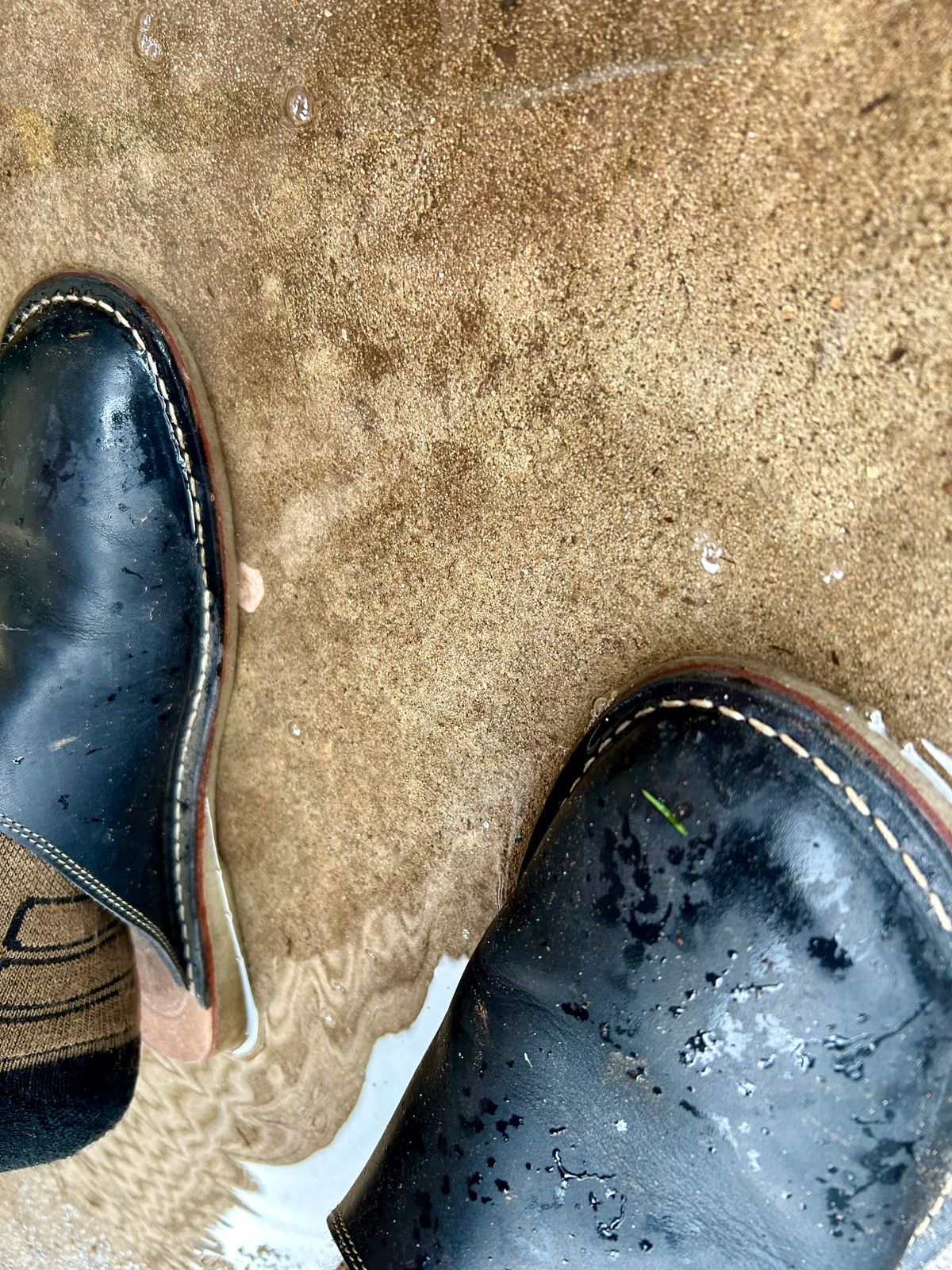 Photo by Vic on April 5, 2026 of the Duckfeet Blåvand in Terracare Navy.