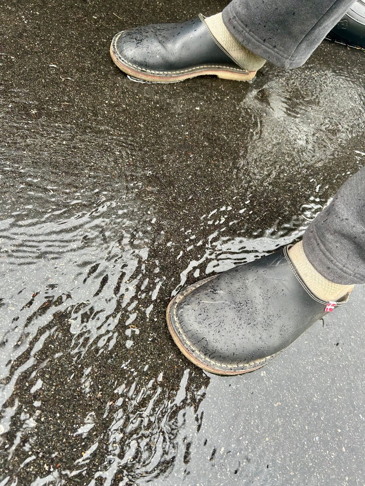 Photo by Vic on May 23, 2026 of the Duckfeet Blåvand in Terracare Navy.