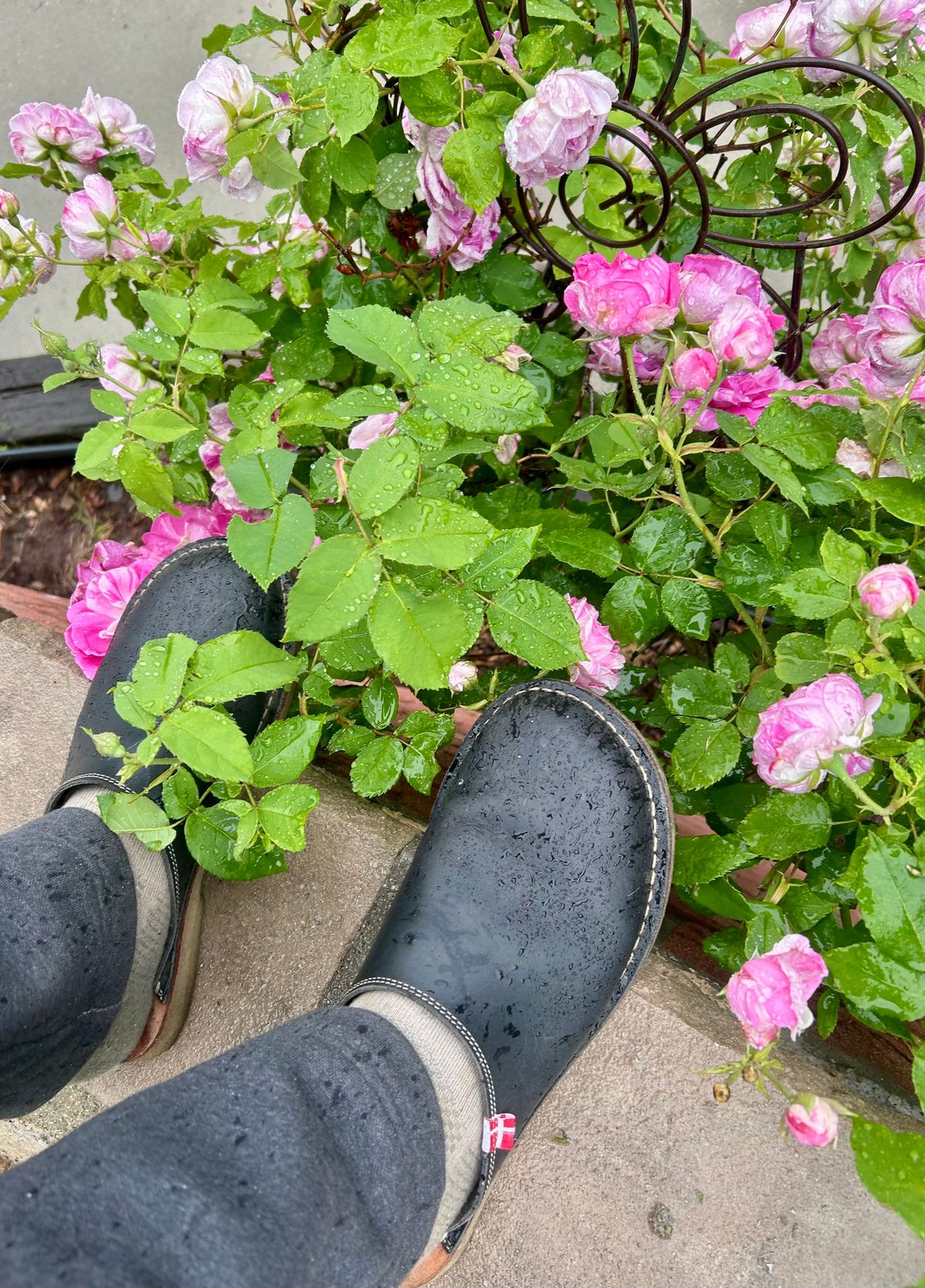 Photo by Vic on May 23, 2026 of the Duckfeet Blåvand in Terracare Navy.