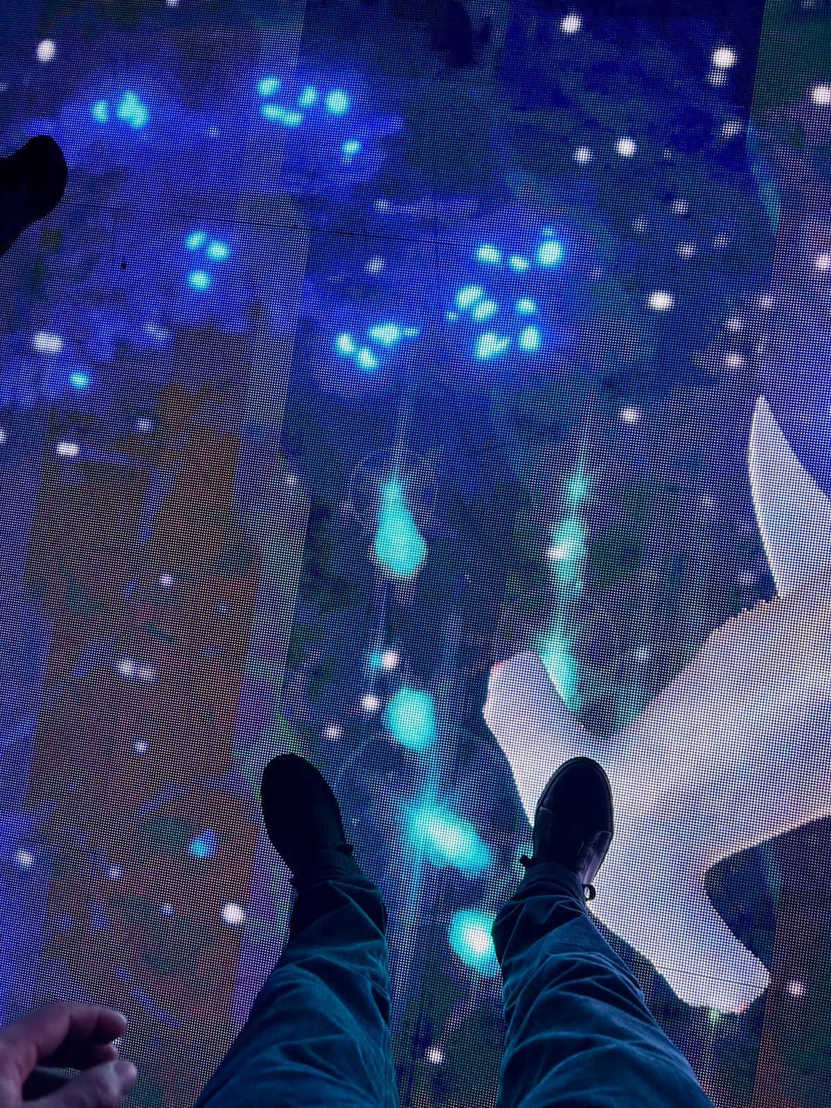 Photo by Vic on April 10, 2026 of the Goral x Rose Anvil Smuggs in Seidel Blood Core.