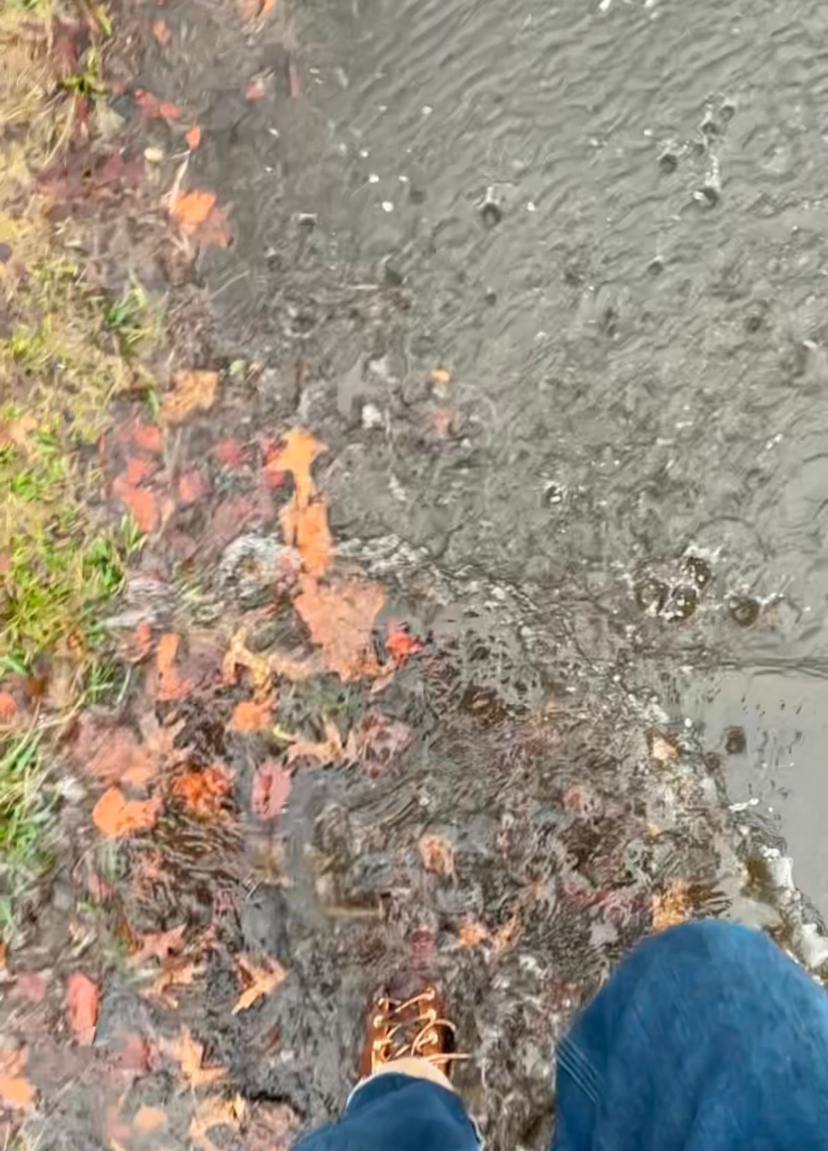 Photo by Vic on March 12, 2026 of the Nicks Falcon in Horween Orange Predator.