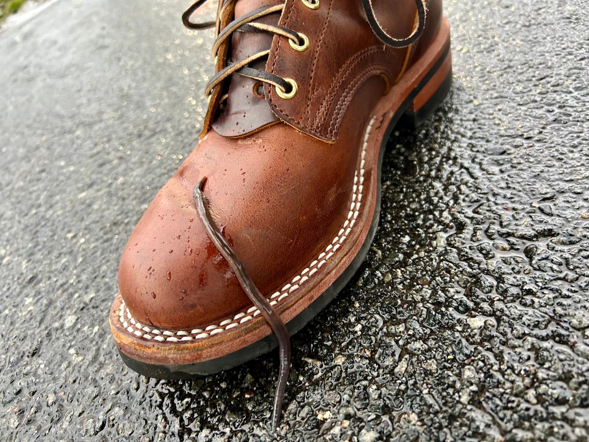 Photo by Vic on March 12, 2026 of the Nicks Falcon in Horween Orange Predator.