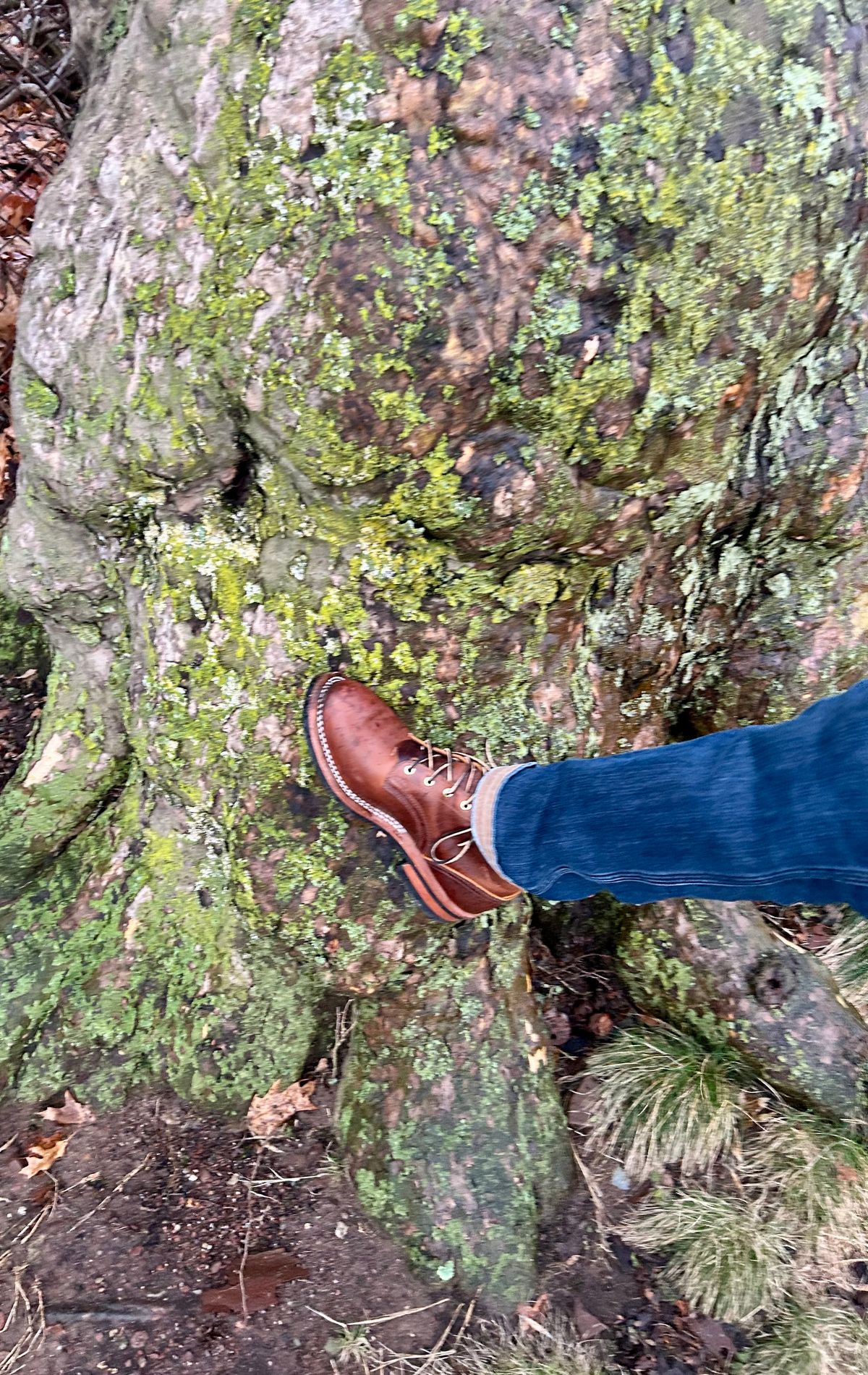 Photo by Vic on March 12, 2026 of the Nicks Falcon in Horween Orange Predator.