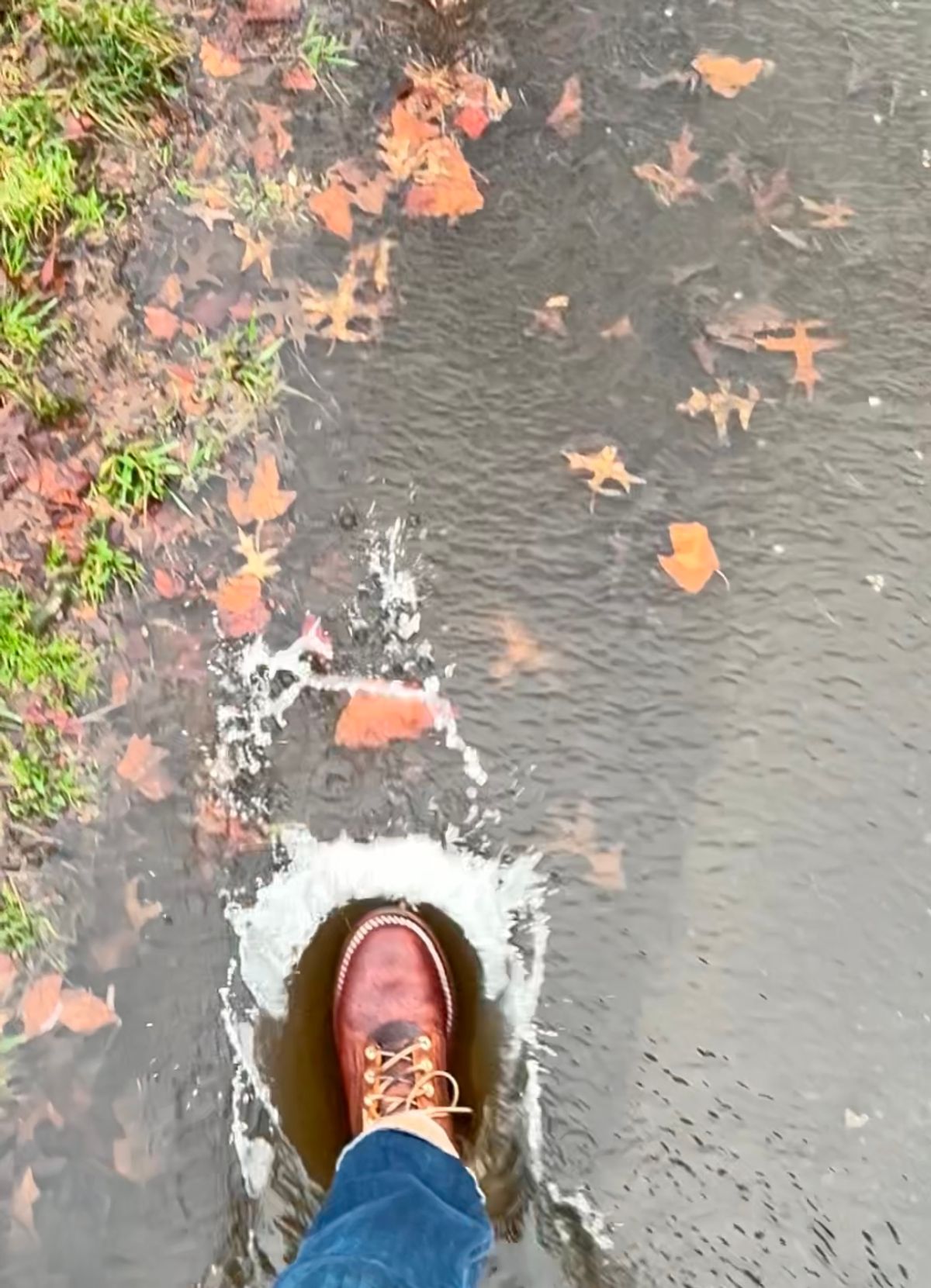 Photo by Vic on March 12, 2026 of the Nicks Falcon in Horween Orange Predator.