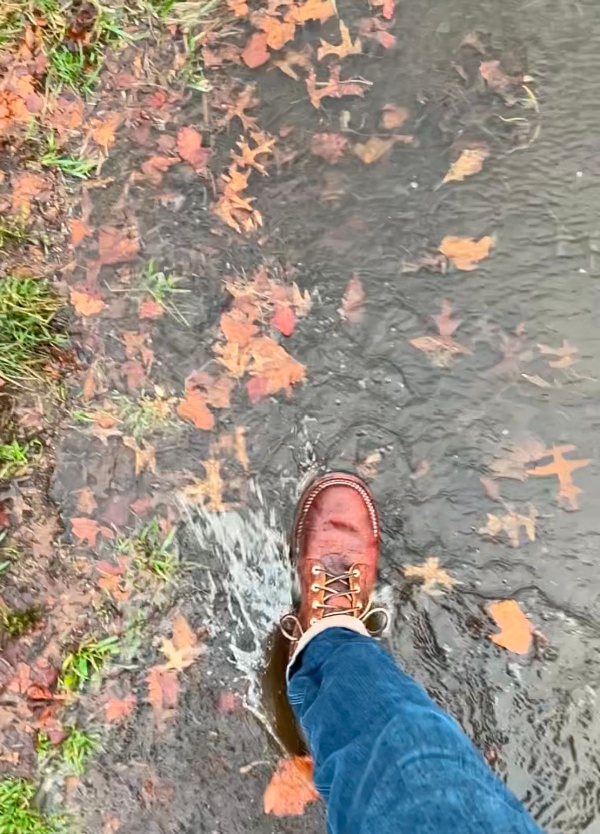Photo by Vic on March 12, 2026 of the Nicks Falcon in Horween Orange Predator.
