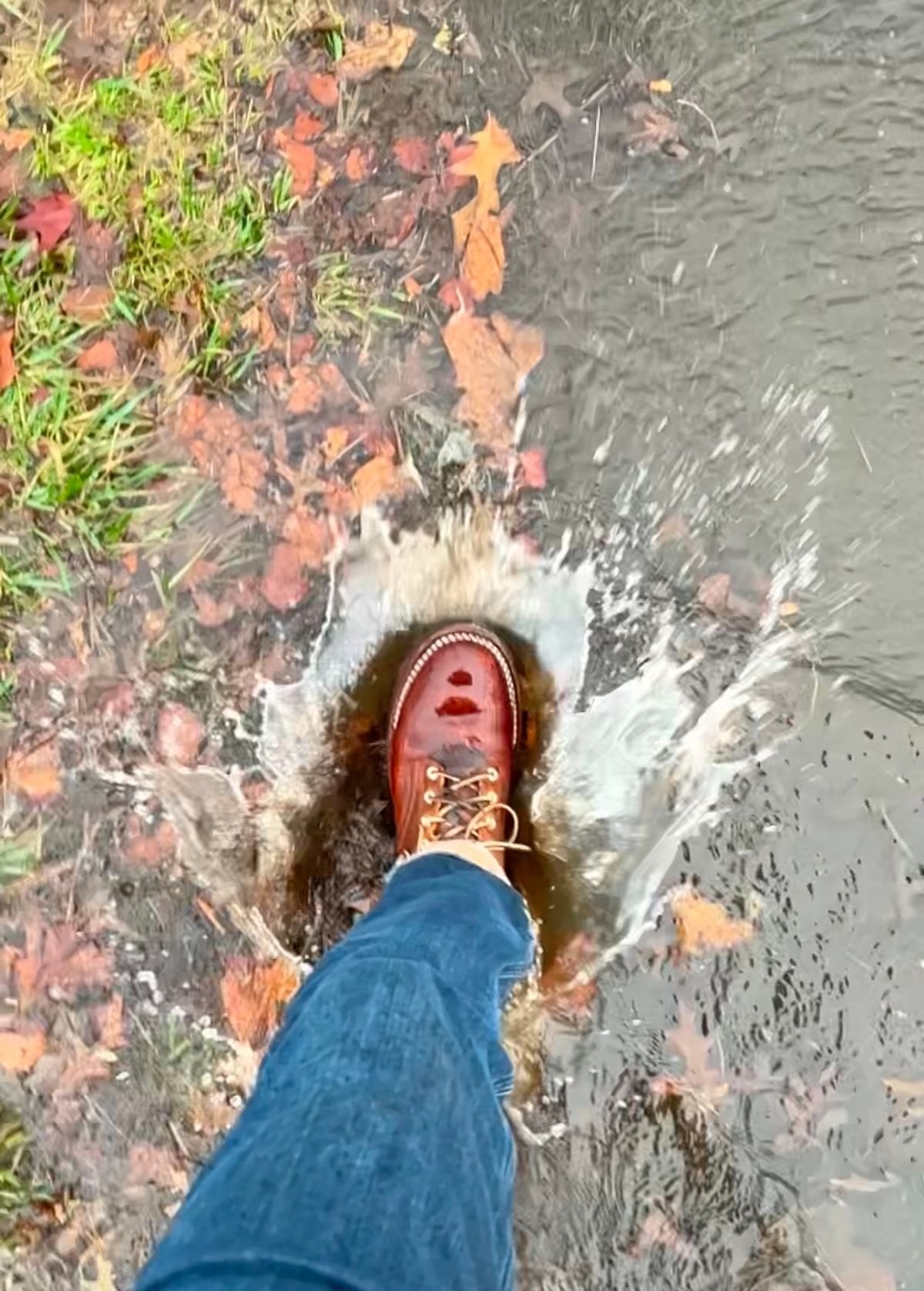 Photo by Vic on March 12, 2026 of the Nicks Falcon in Horween Orange Predator.
