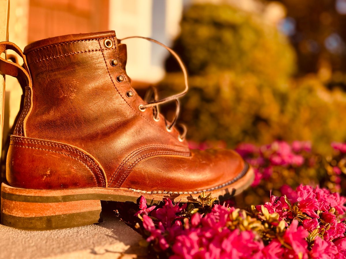 Photo by Vic on April 26, 2026 of the Nicks Falcon in Horween Orange Predator.