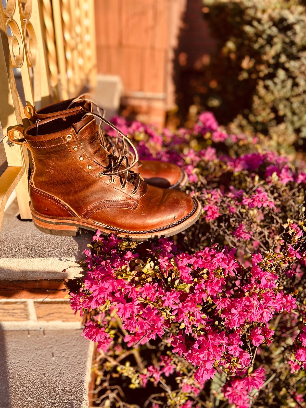 Photo by Vic on April 26, 2026 of the Nicks Falcon in Horween Orange Predator.