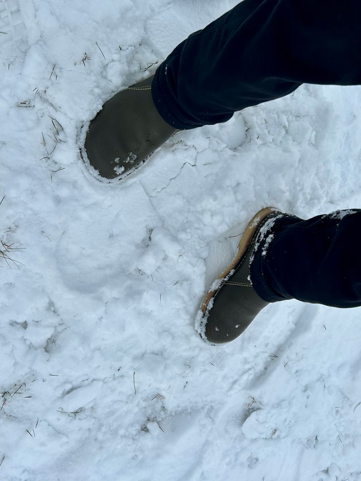 Photo by Vic on December 27, 2025 of the Duckfeet Arhus in Terracare Green.