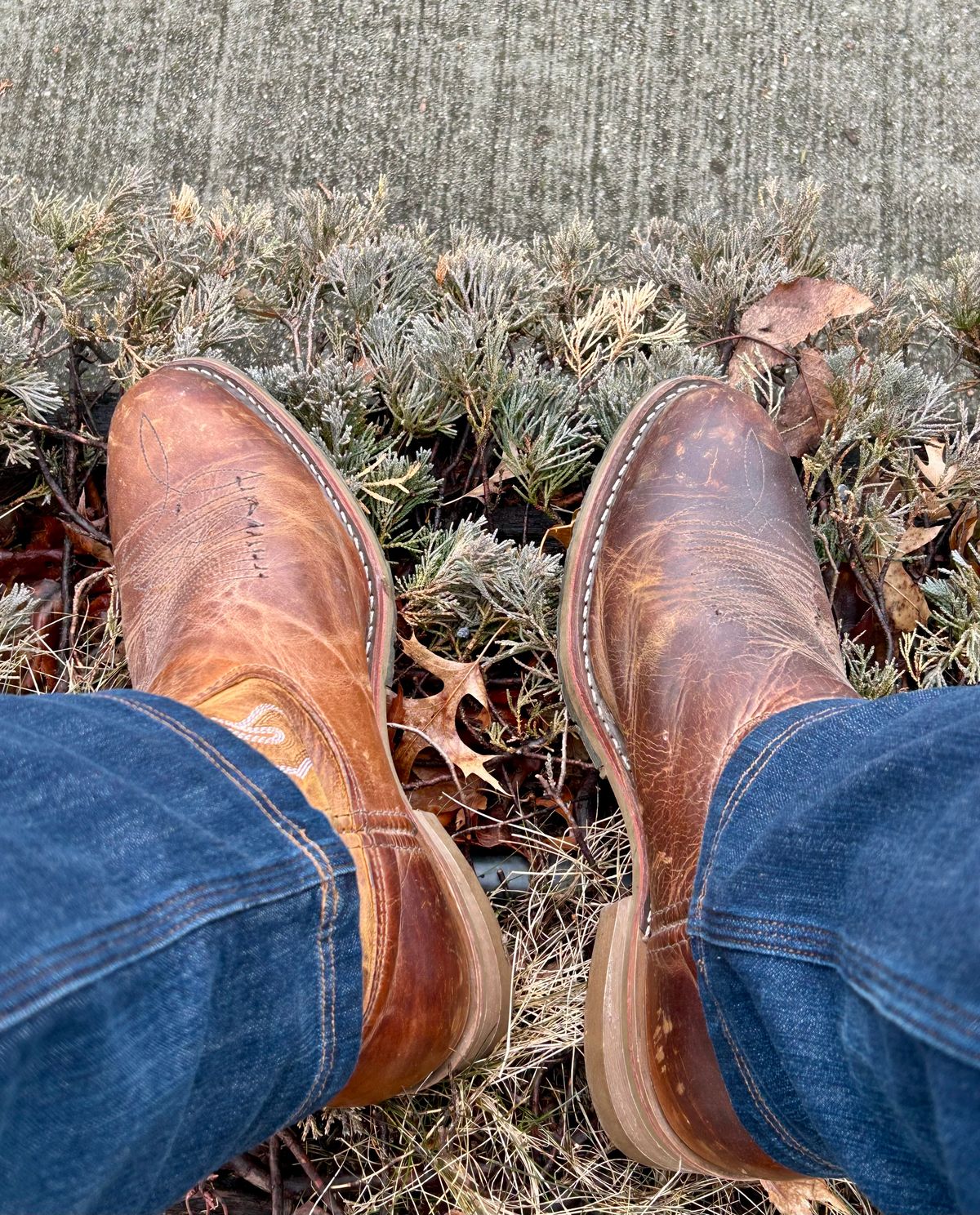 Photo by Vic on February 19, 2026 of the Double-H Unknown Model in Unknown Leather.