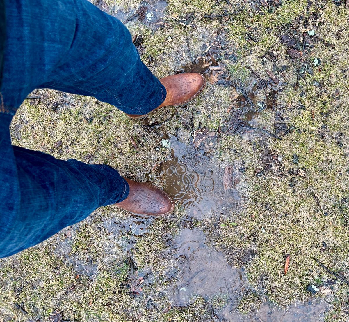 Photo by Vic on February 20, 2026 of the Double-H Unknown Model in Unknown Leather.