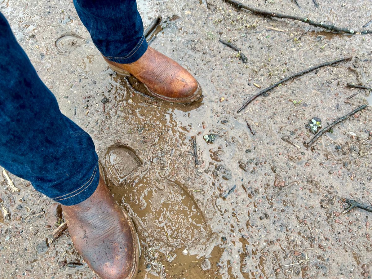 Photo by Vic on February 20, 2026 of the Double-H Unknown Model in Unknown Leather.