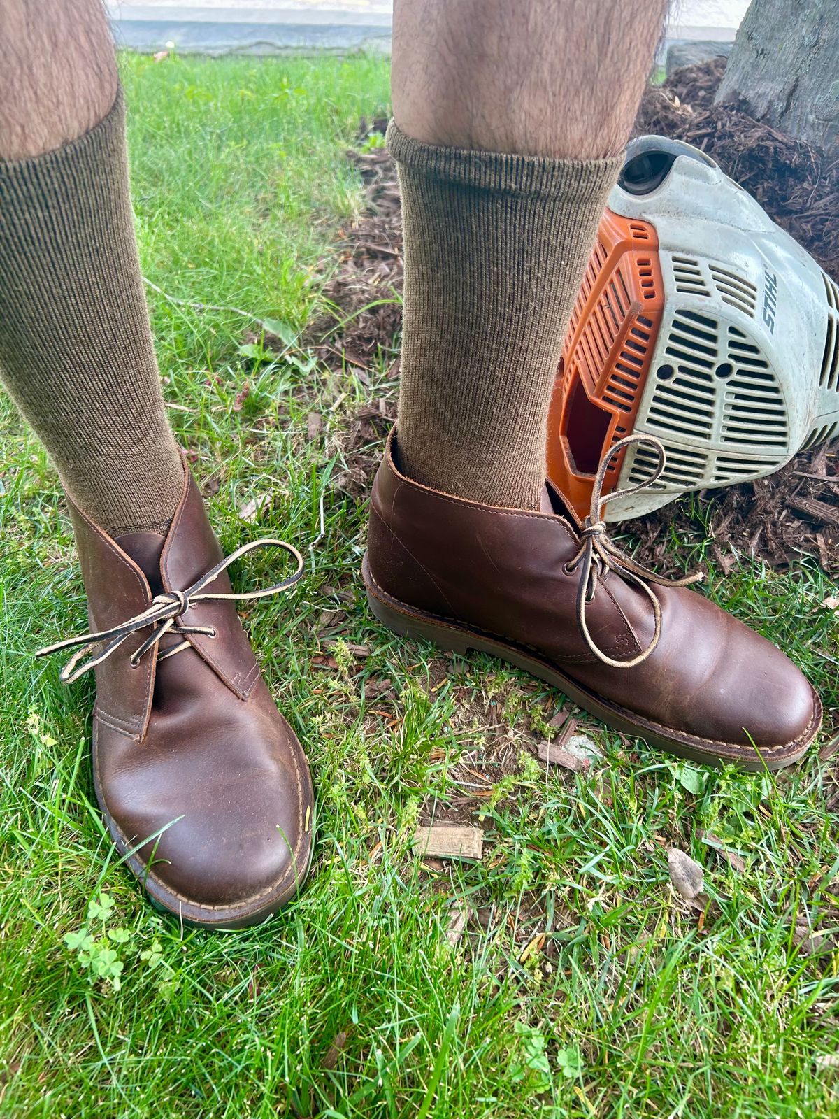 Photo by Vic on June 6, 2026 of the Clarks Desert Boot in Dark Tan.