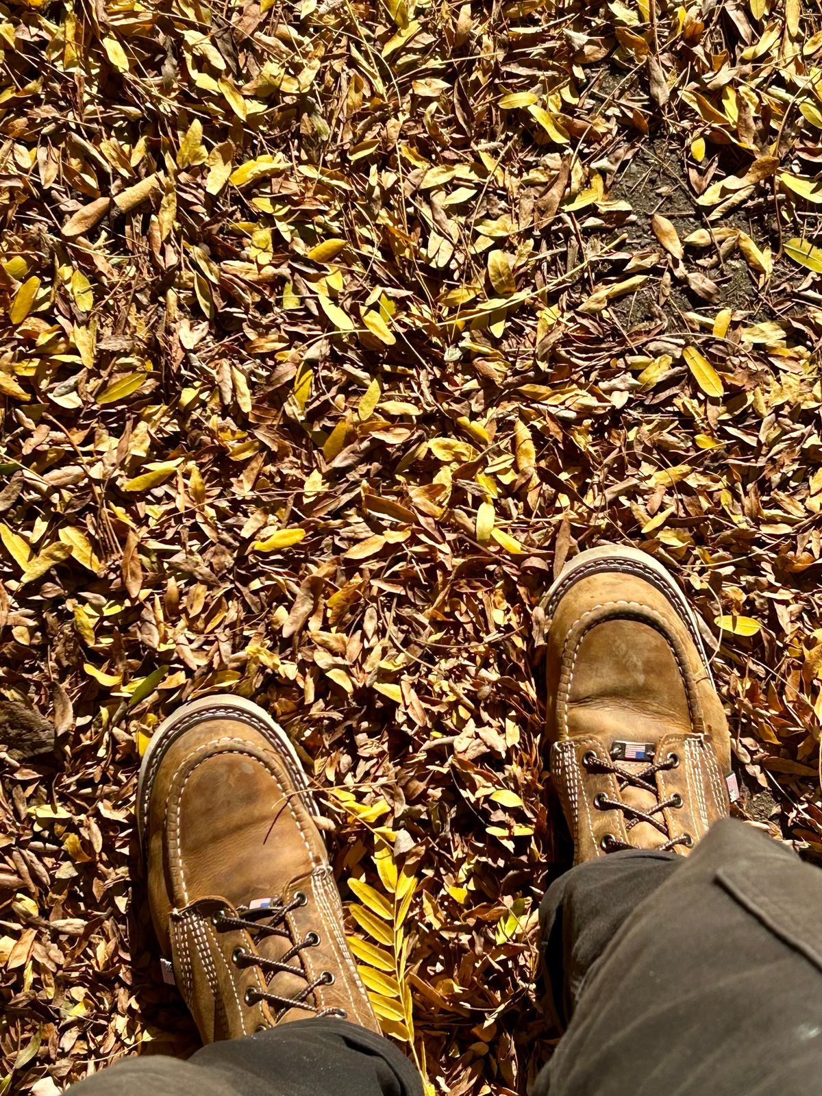 Photo by Vic on October 27, 2025 of the Carolina Moc in Unknown Natural Veg Tan.