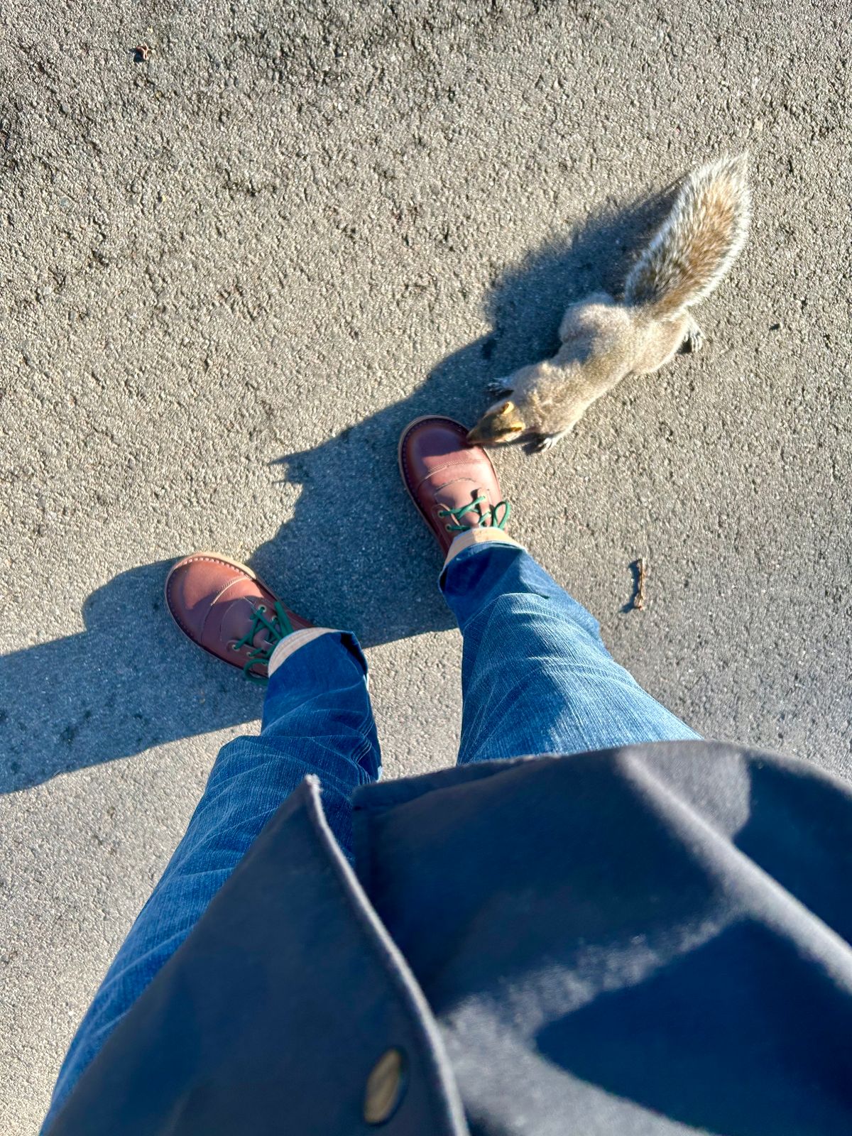 Photo by Vic on March 17, 2026 of the Jim Green African Ranger Barefoot Boot in African Buffalo Skin.