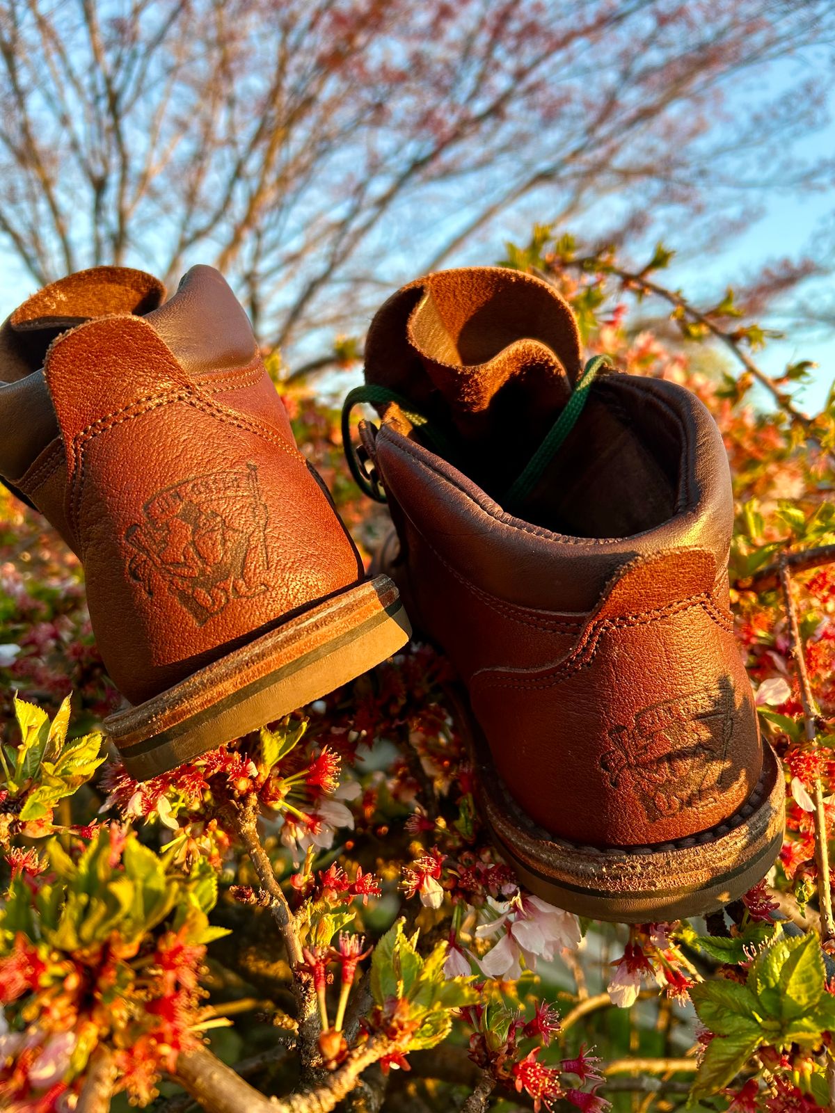 Photo by Vic on April 7, 2026 of the Jim Green African Ranger Barefoot Boot in African Buffalo Skin.