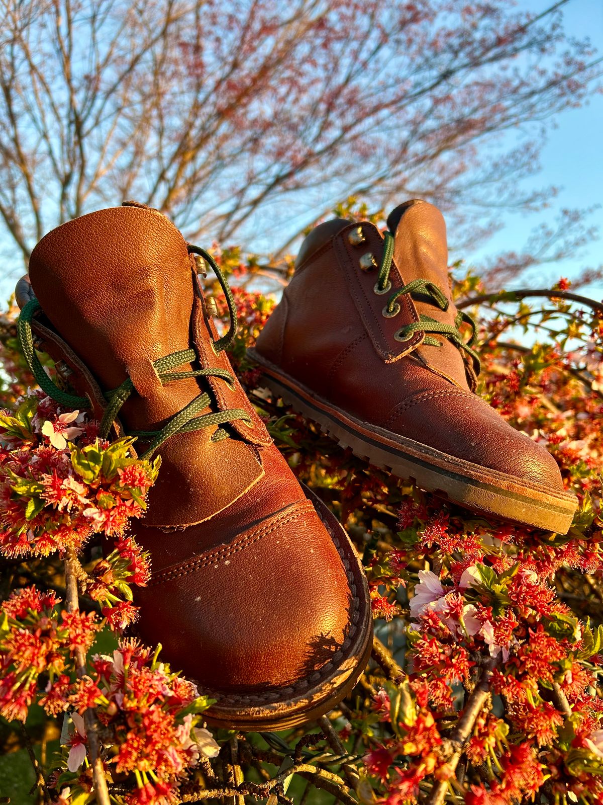 Photo by Vic on April 7, 2026 of the Jim Green African Ranger Barefoot Boot in African Buffalo Skin.