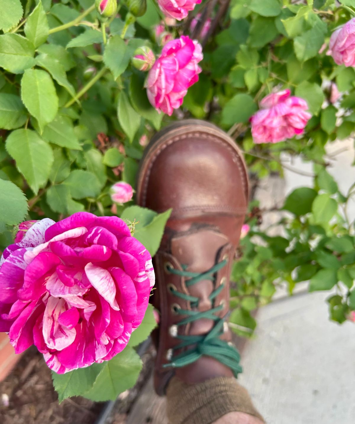 Photo by Vic on May 19, 2026 of the Jim Green African Ranger Barefoot Boot in African Buffalo Skin.