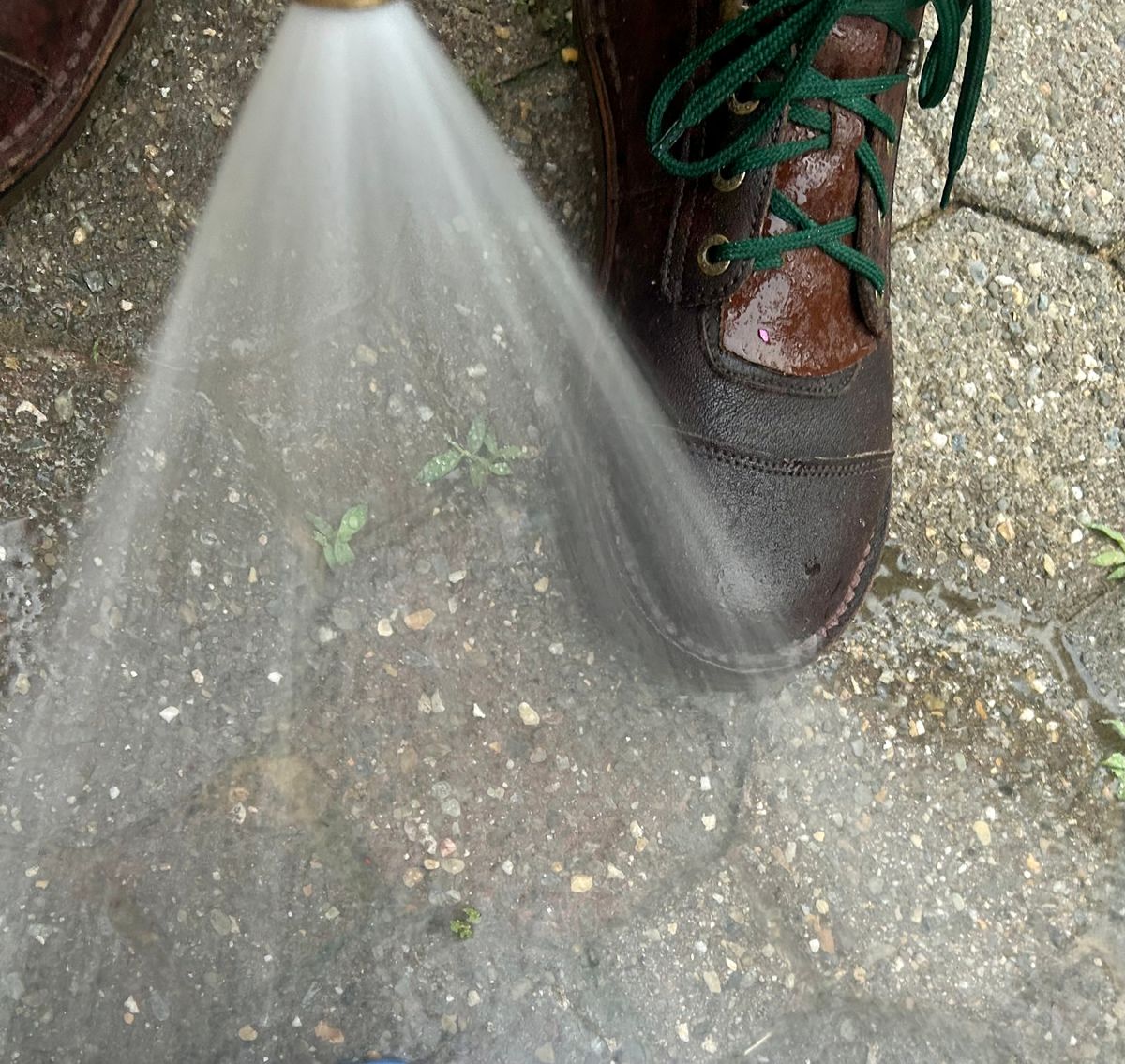Photo by Vic on May 21, 2026 of the Jim Green African Ranger Barefoot Boot in African Buffalo Skin.