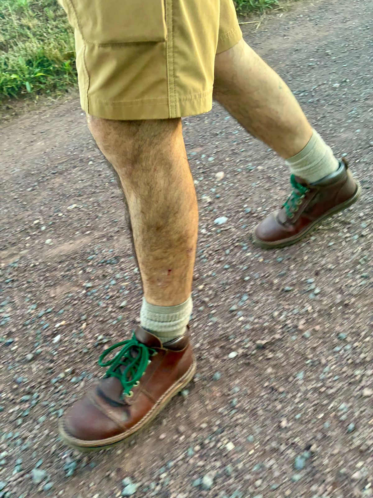 Photo by Vic on June 25, 2026 of the Jim Green African Ranger in Jim Green / Houston Green.