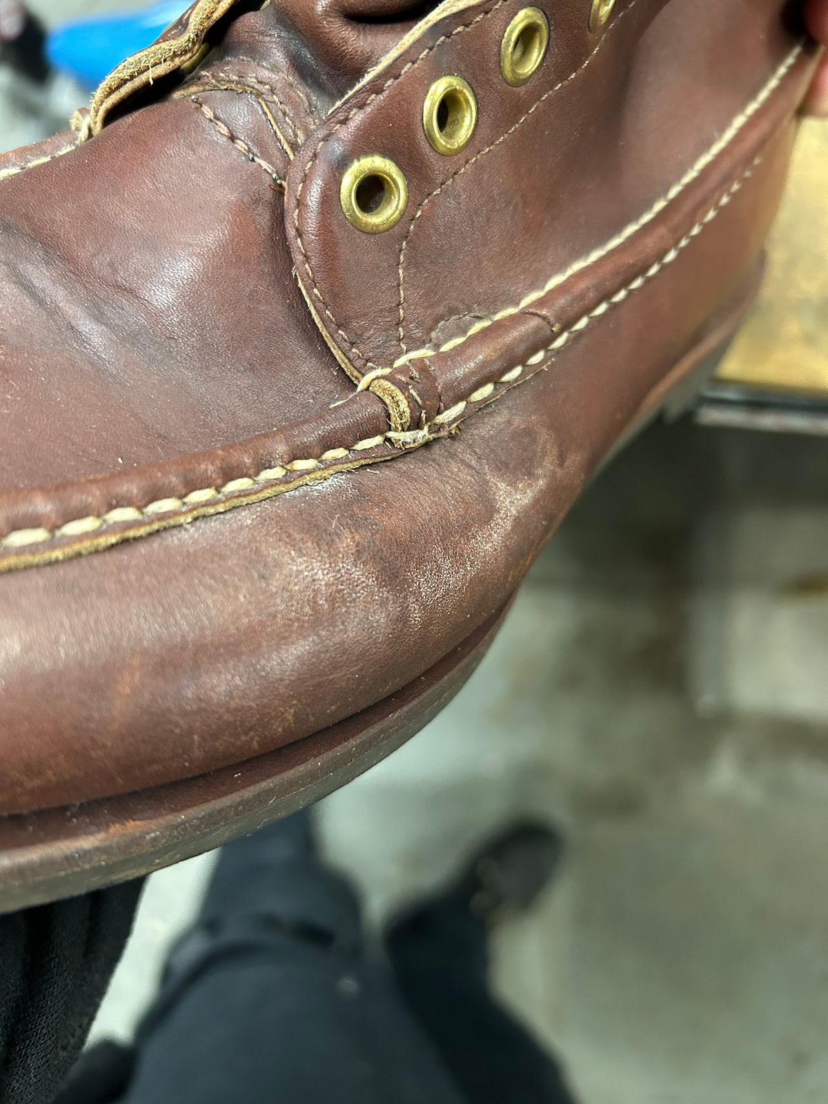 Photo by Vic on January 21, 2026 of the Russell Moccasin Co. Bird Shooter in Brown Oil Tan.