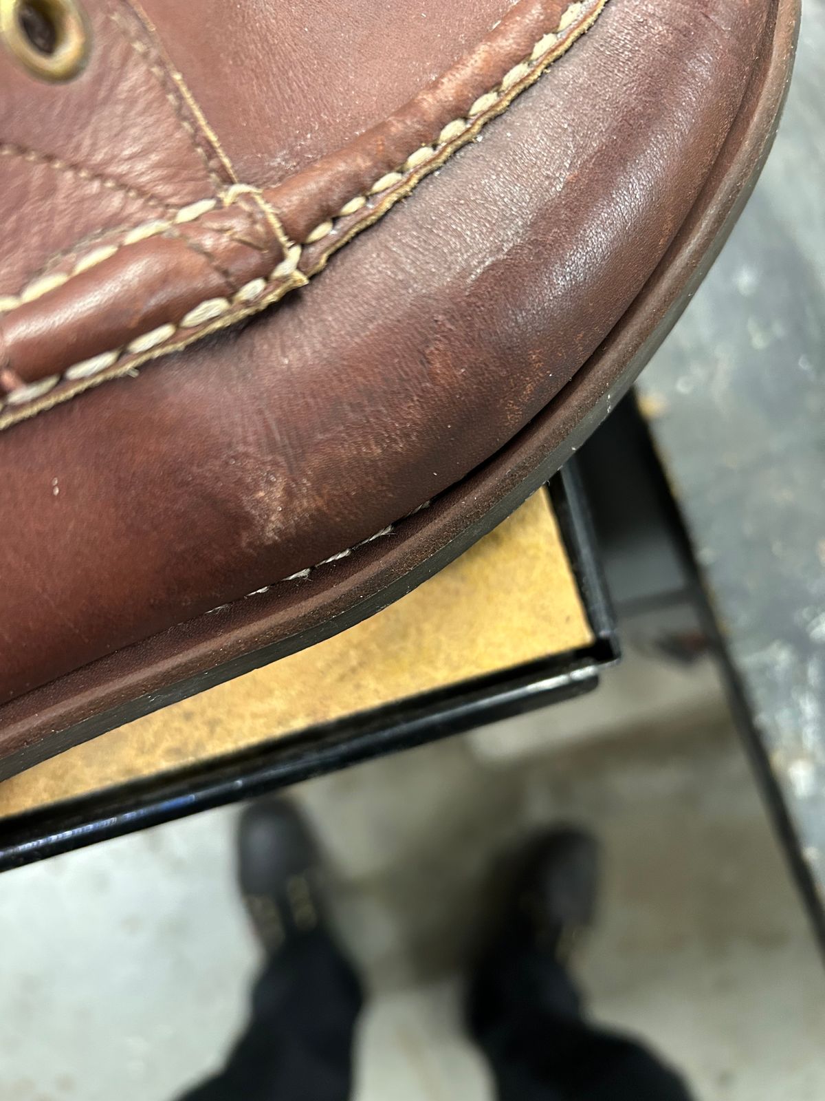 Photo by Vic on January 21, 2026 of the Russell Moccasin Co. Bird Shooter in Brown Oil Tan.