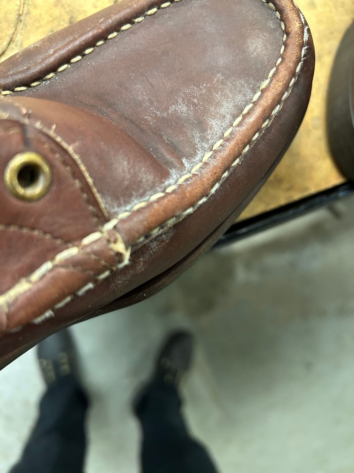 Photo by Vic on January 21, 2026 of the Russell Moccasin Co. Bird Shooter in Brown Oil Tan.